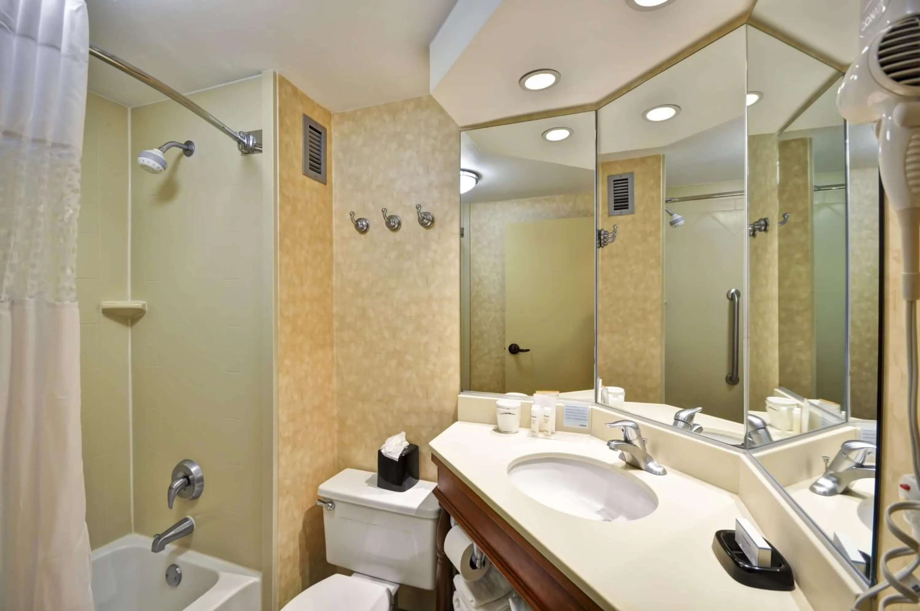 Bathroom in Hampton Inn Memphis-Poplar