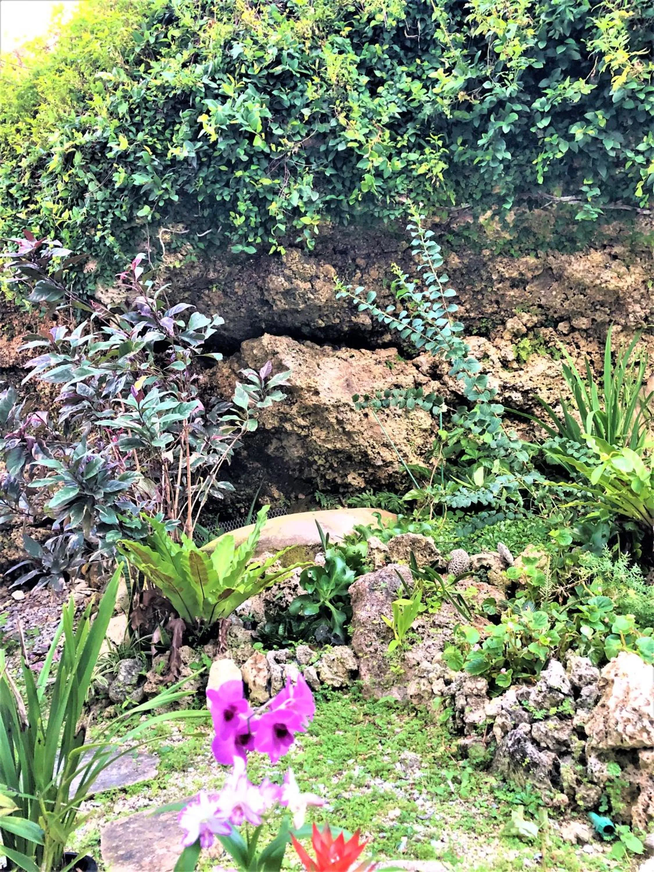 Garden in Beach House Yomitan