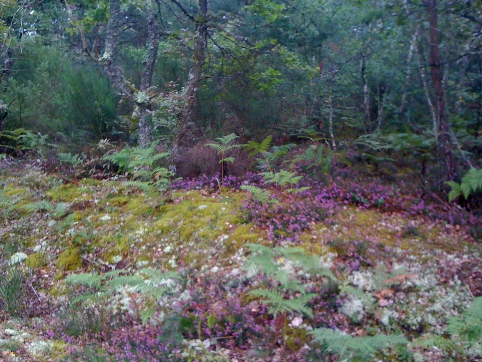 Nearby landmark in Grand Hôtel du Lion d'Or