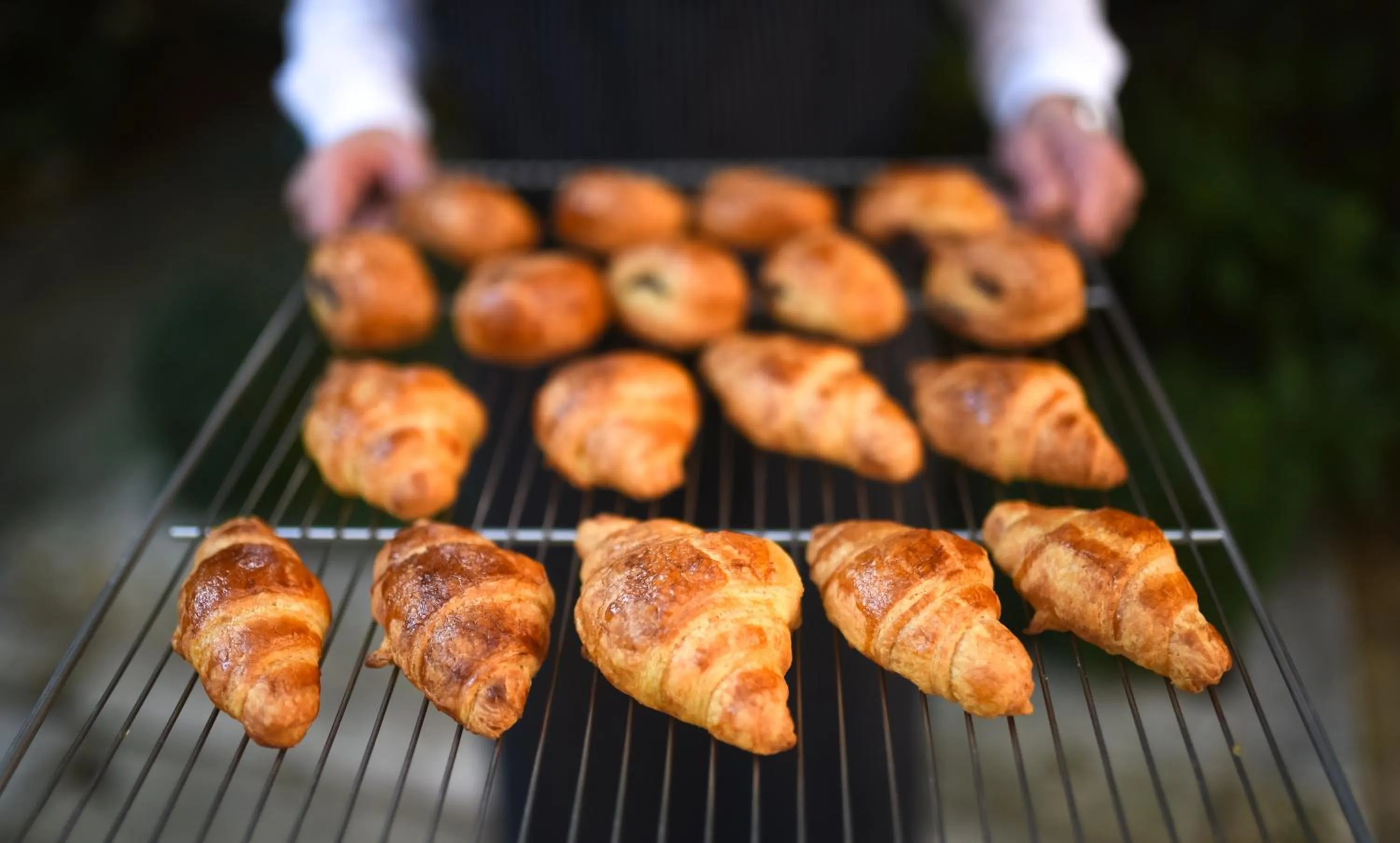 Continental breakfast in Grand Hôtel du Lion d'Or