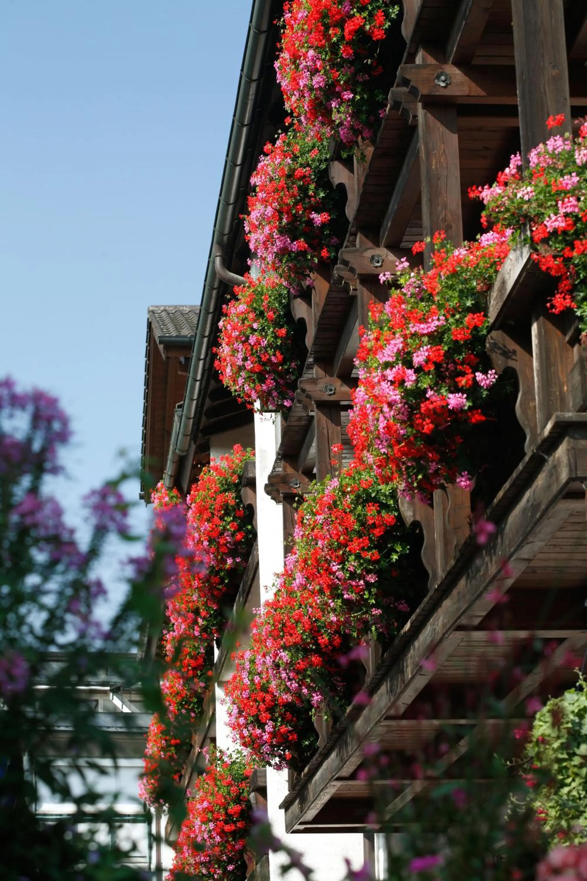 Property building in Hotel Neuer am See