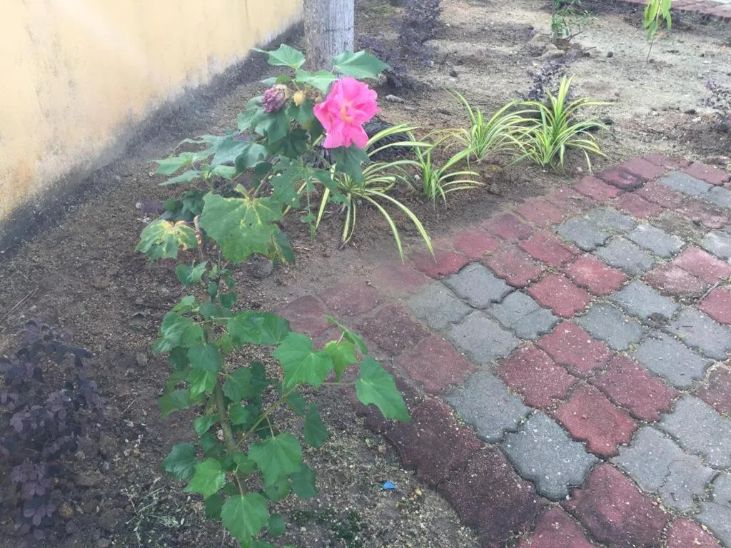 The Garden Vacation Home