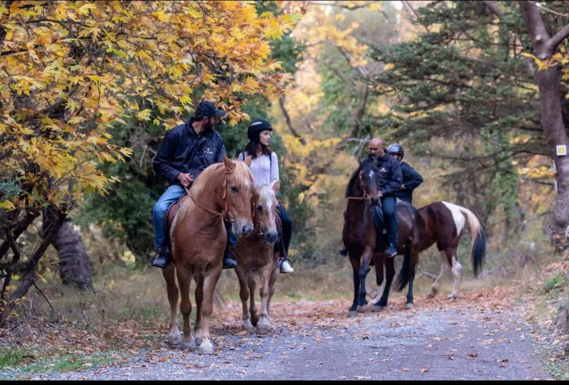 Horse-riding in Mylaon Boutique Hotel & Spa