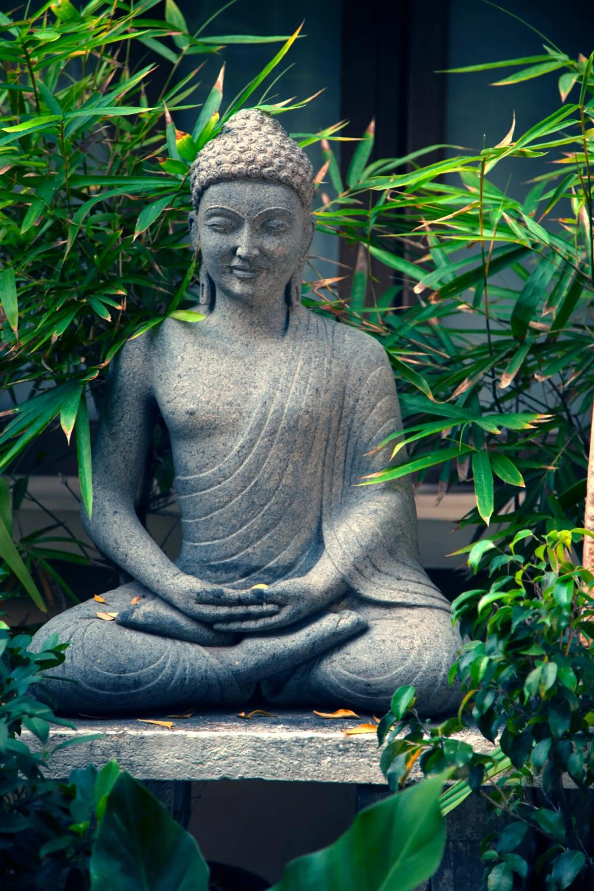 Natural landscape in Hanu Reddy Residences Poes Garden