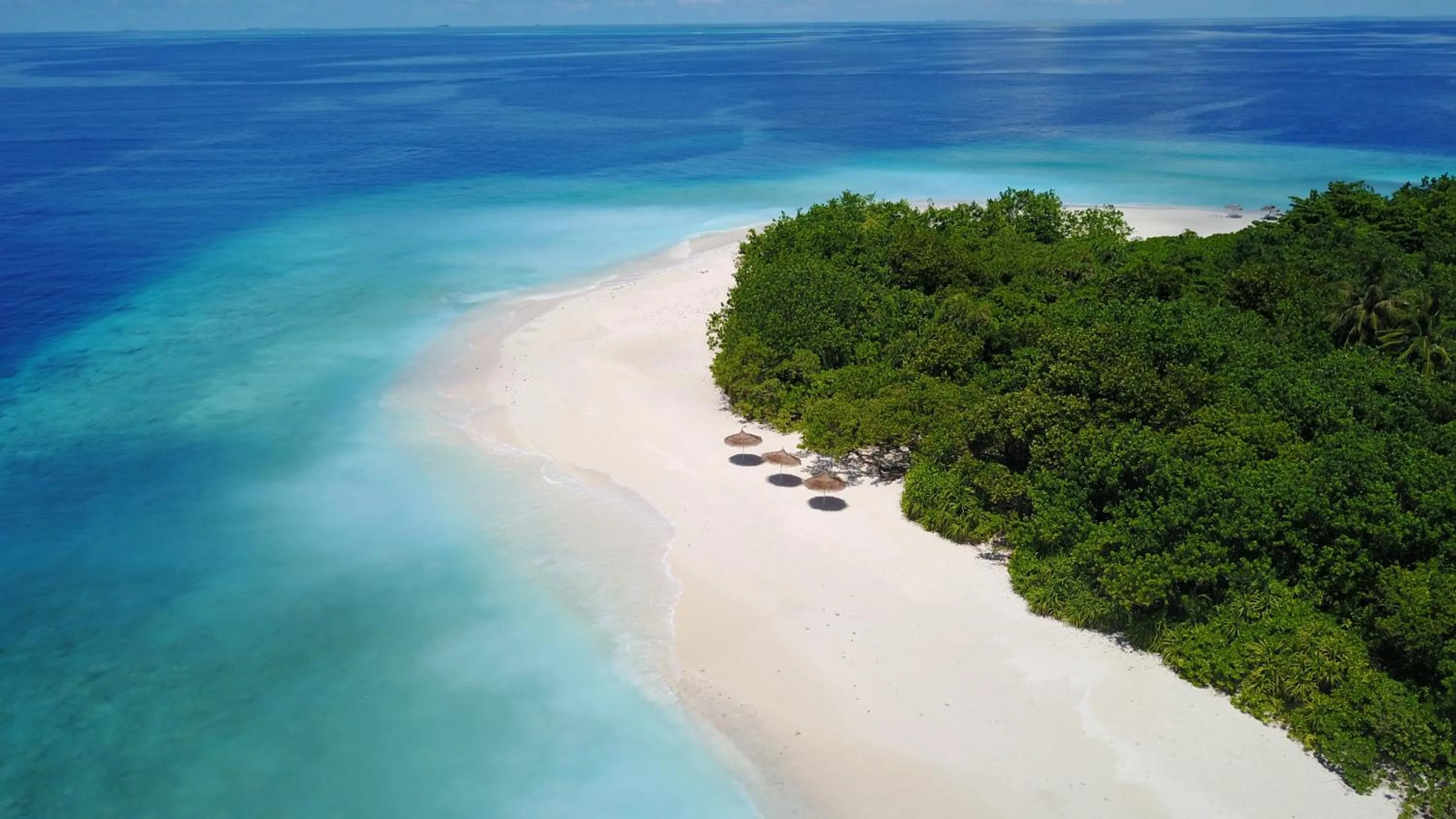 Beach in Nala Veli Beach & Spa