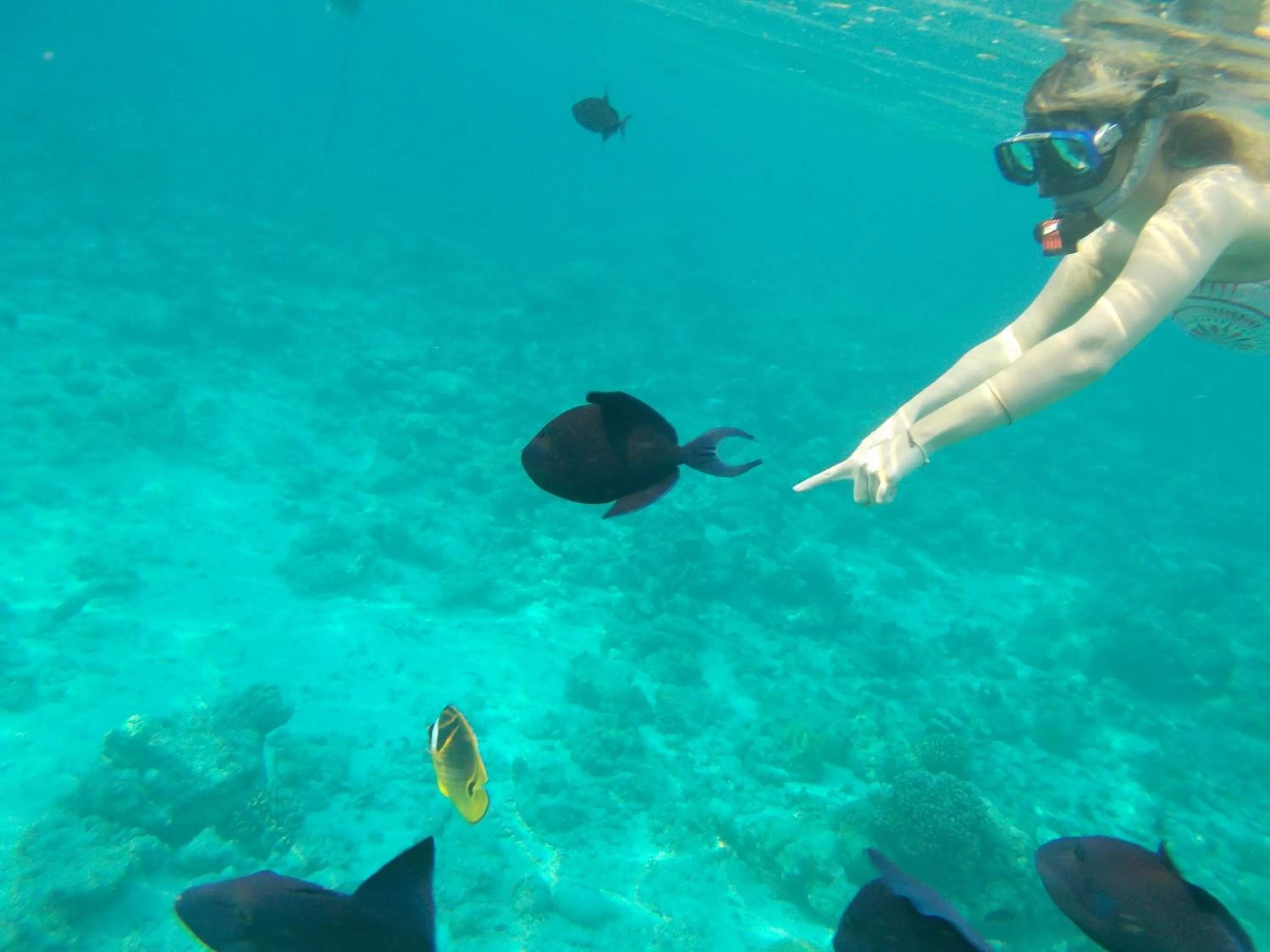 Activities in Nala Veli Beach & Spa