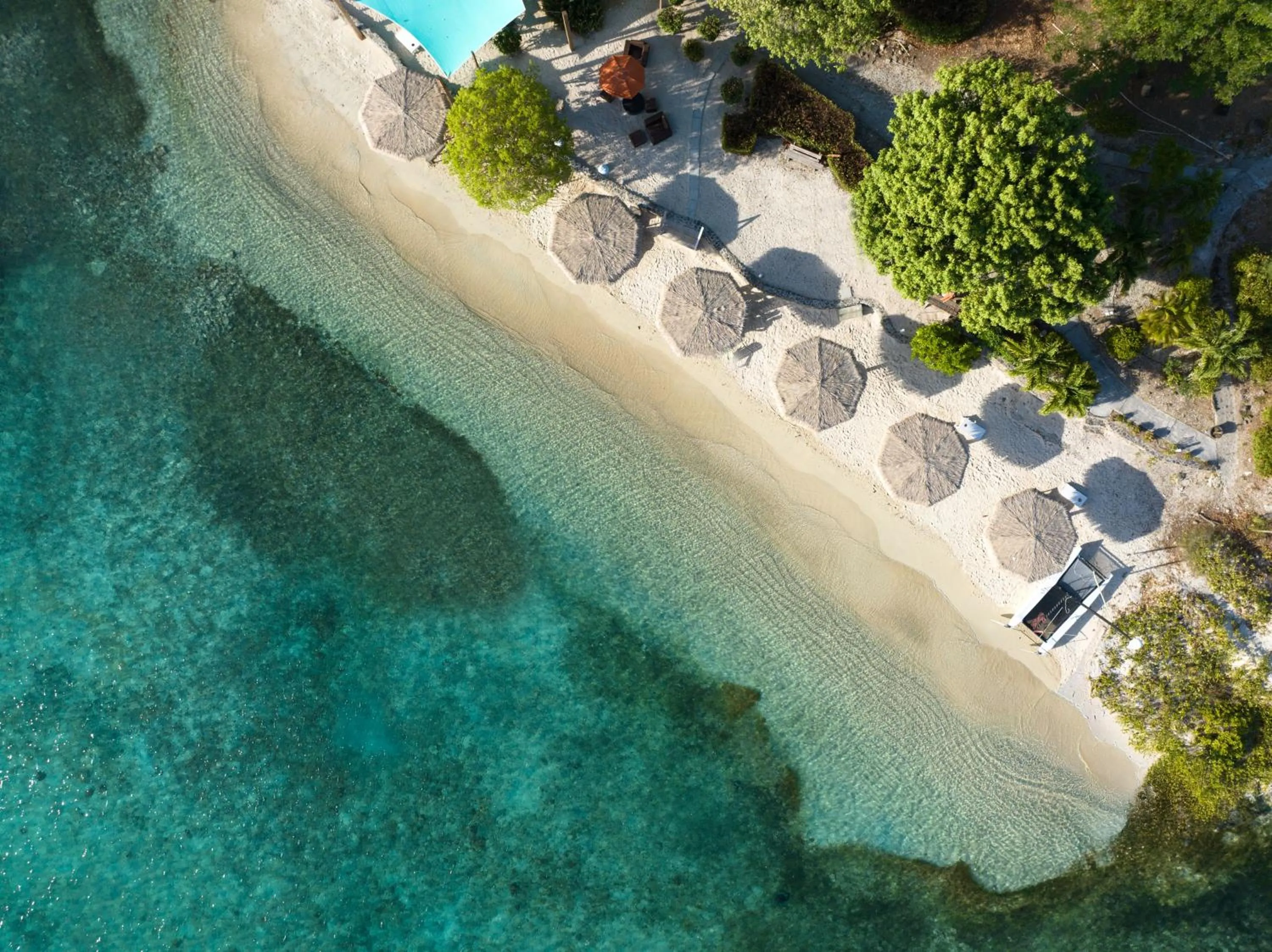 Restaurant/places to eat in Scrub Island Resort, Spa & Marina