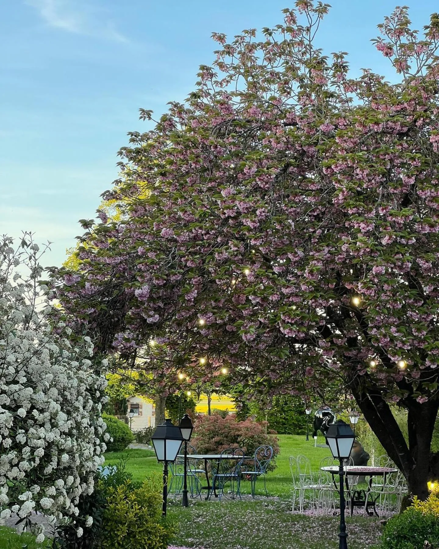 Garden in Armes de Champagne Hôtel & Spa