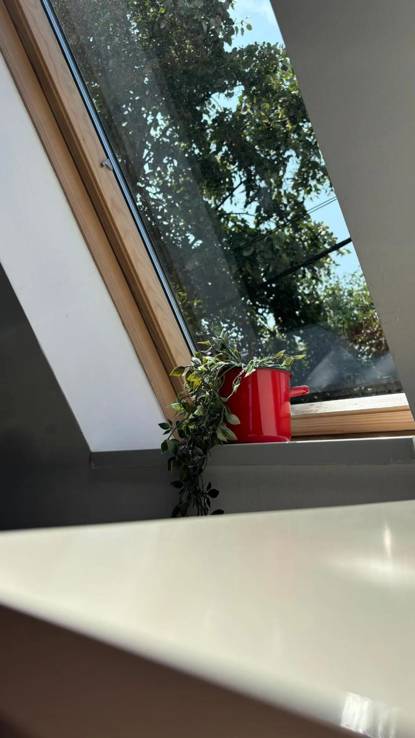 Pannónia Rooms and Apartments