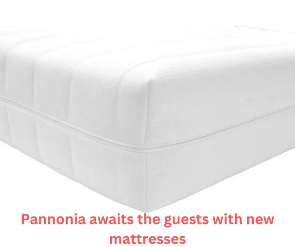 Superior Triple Room in Pannónia Rooms and Apartments Superior Triple Room in Pannónia Rooms and Apartments