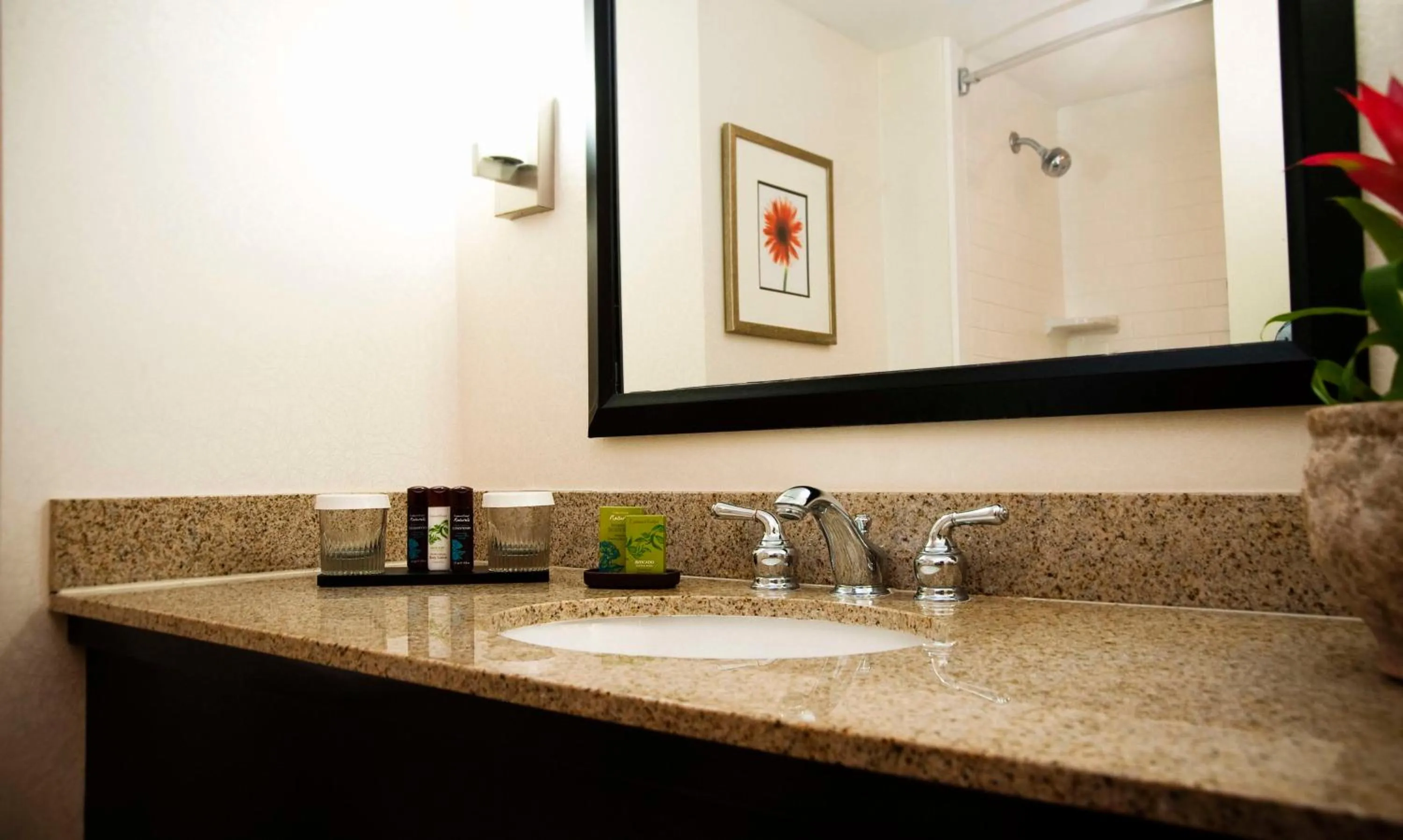 Bathroom in Embassy Suites by Hilton Memphis East Germantown Area