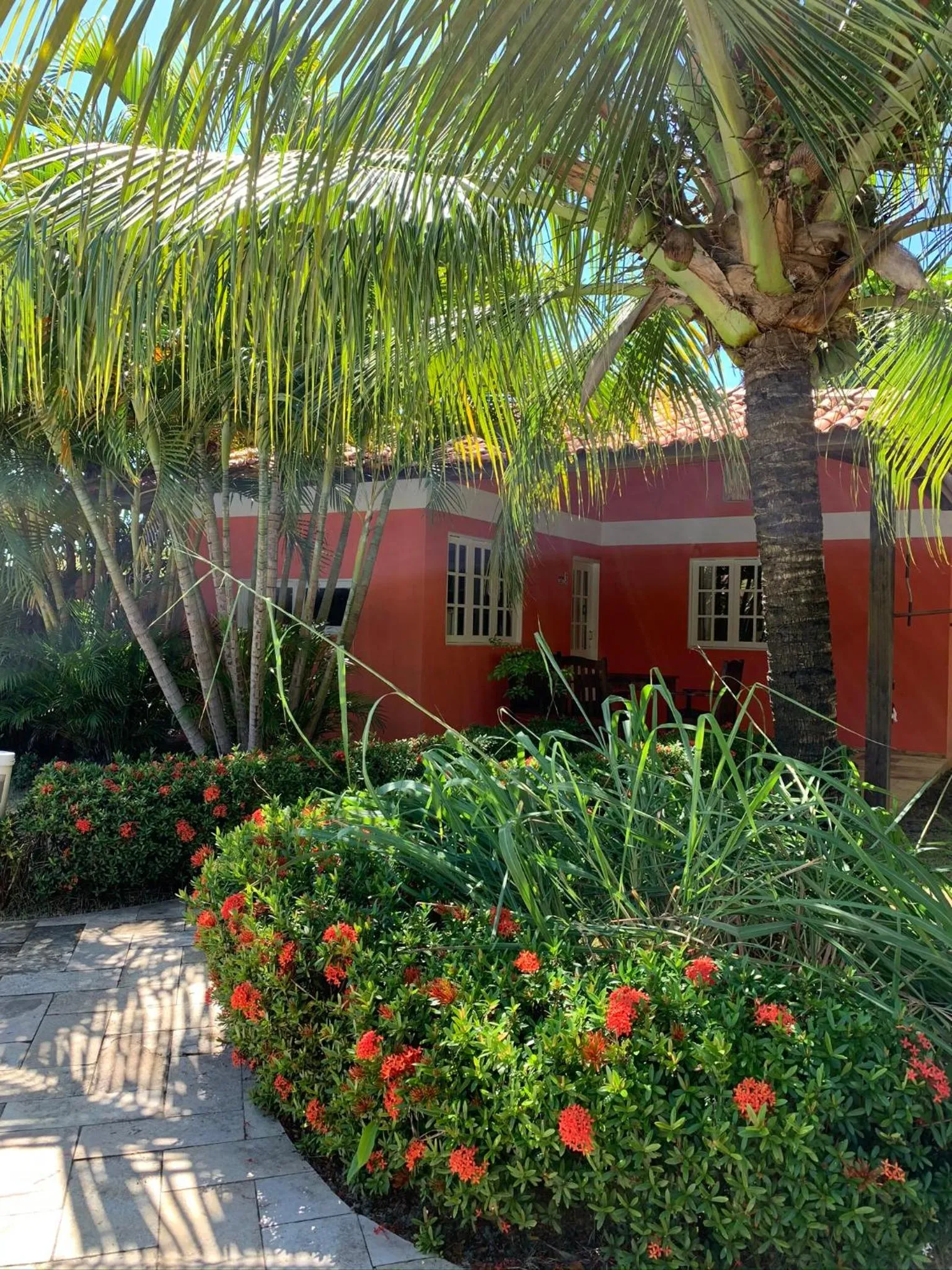 Garden in La Dolce Vita Flat & Pousada