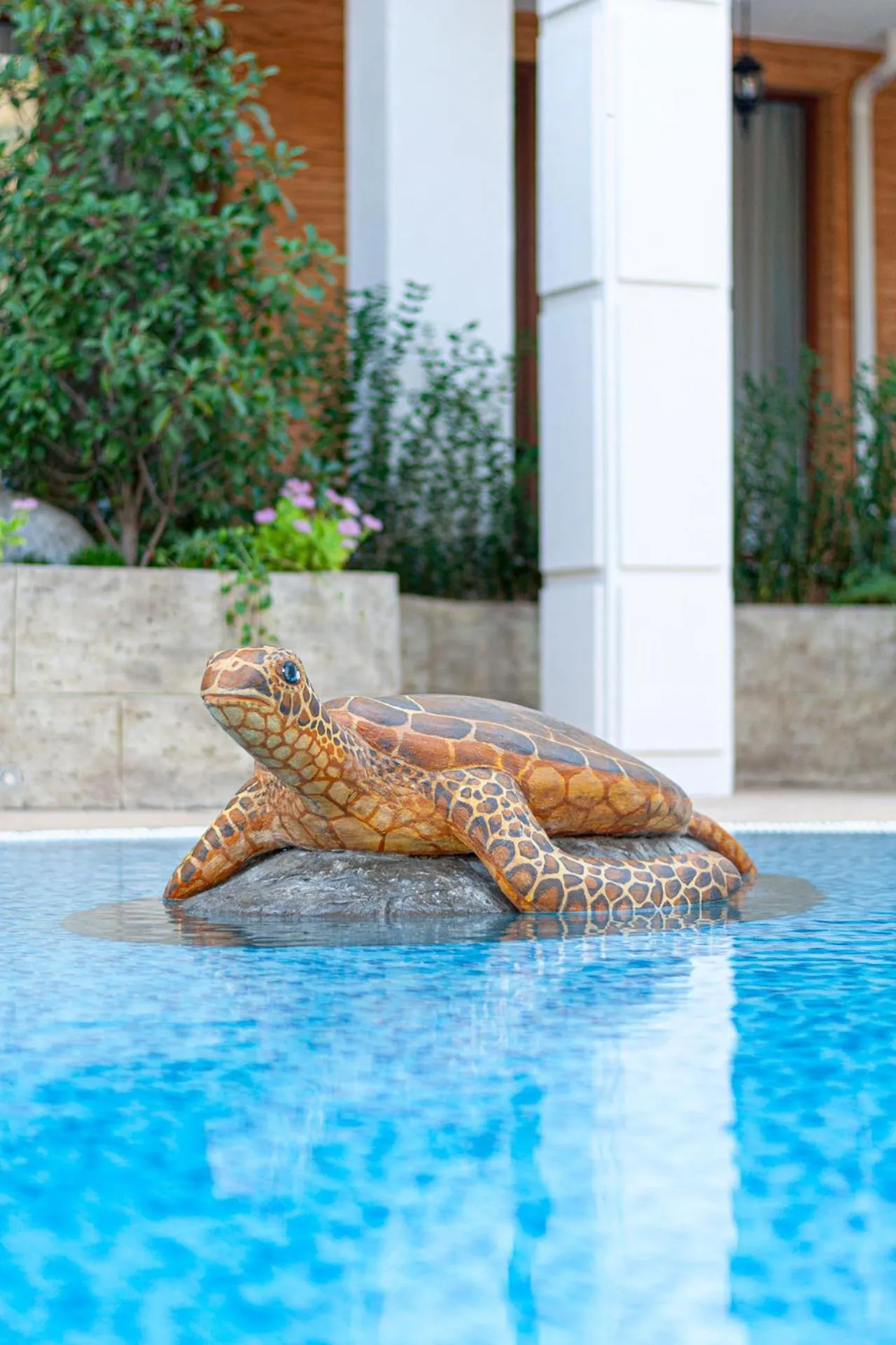 Pool view in Harmony Suites Grand Resort