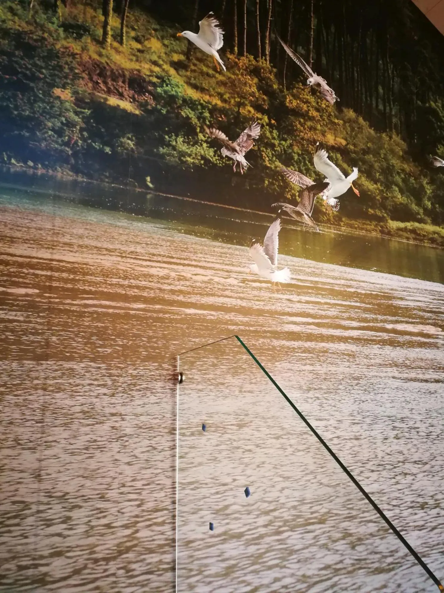 TV and multimedia in Cabanas da Ría