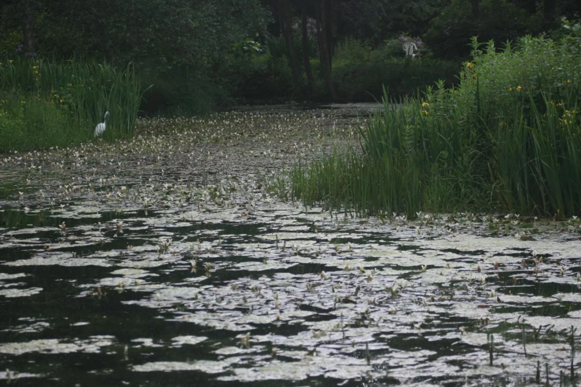 Natural landscape in High Dalby House