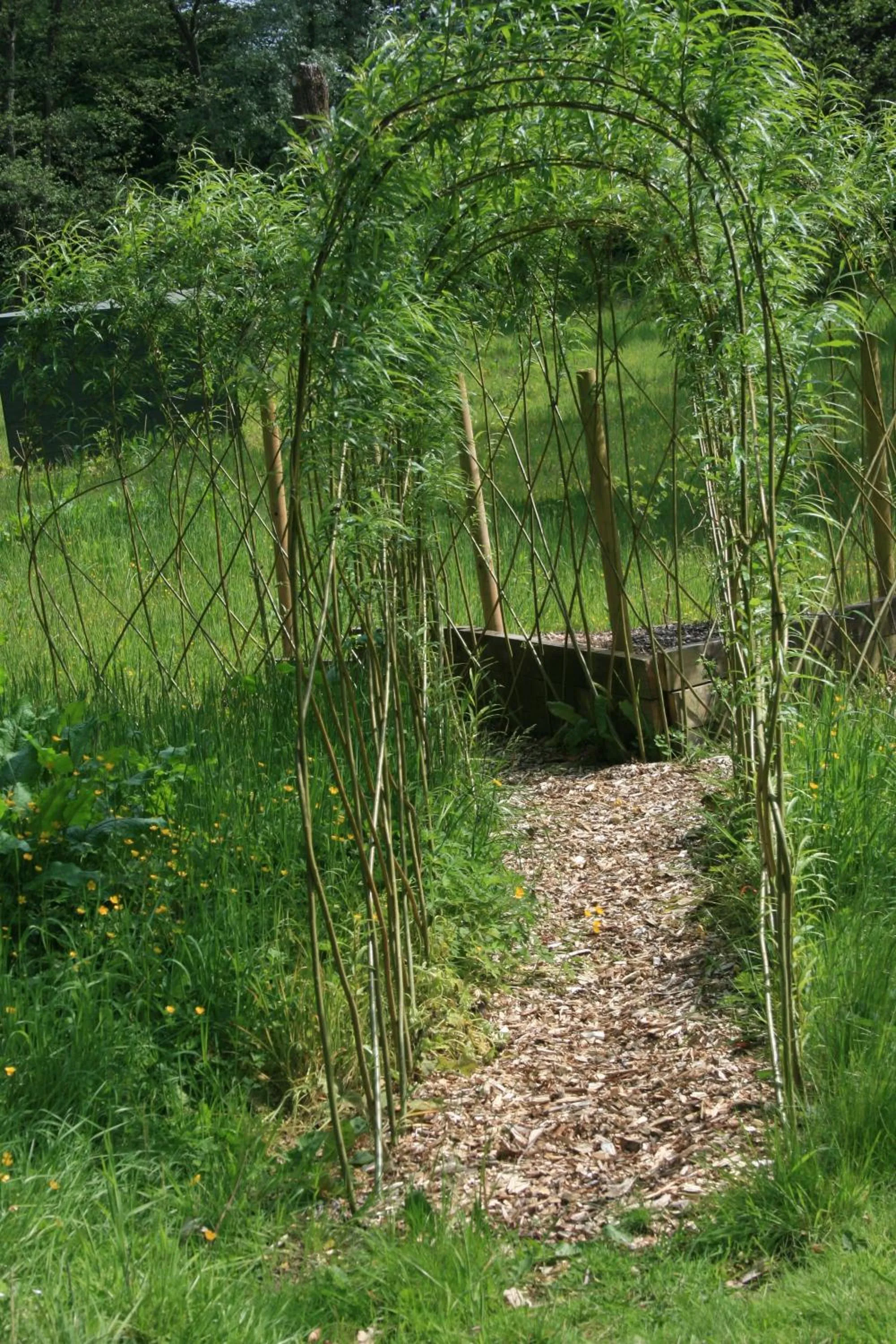 Garden in High Dalby House