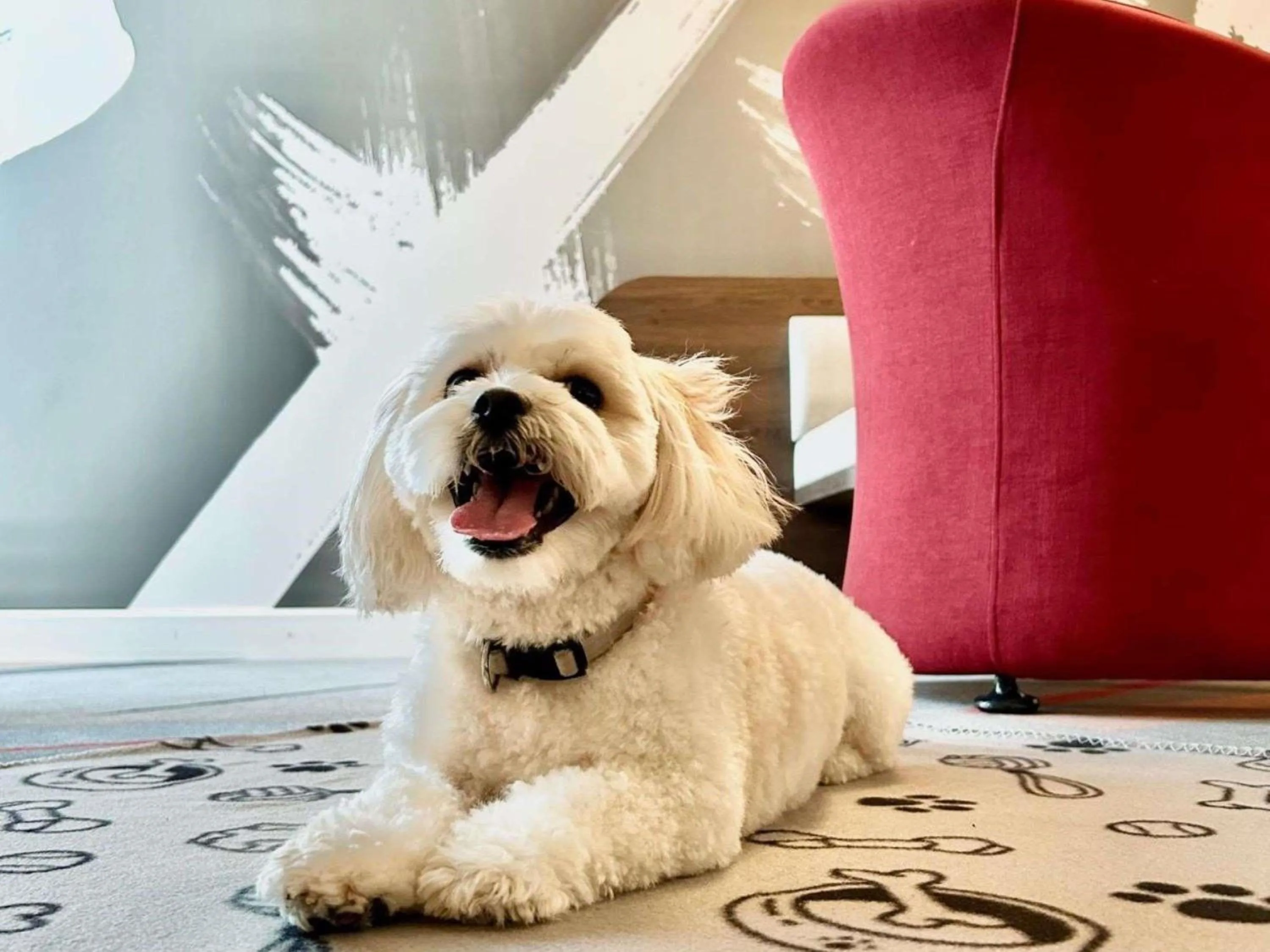 Other in Mercure Galati Centrum