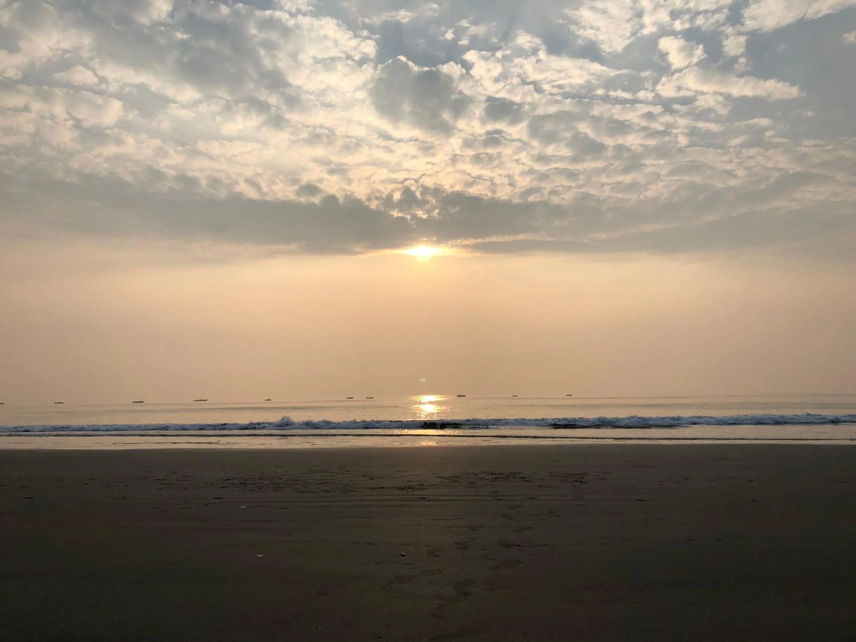 Beach in The Zuri White Sands, Goa Resort & Casino