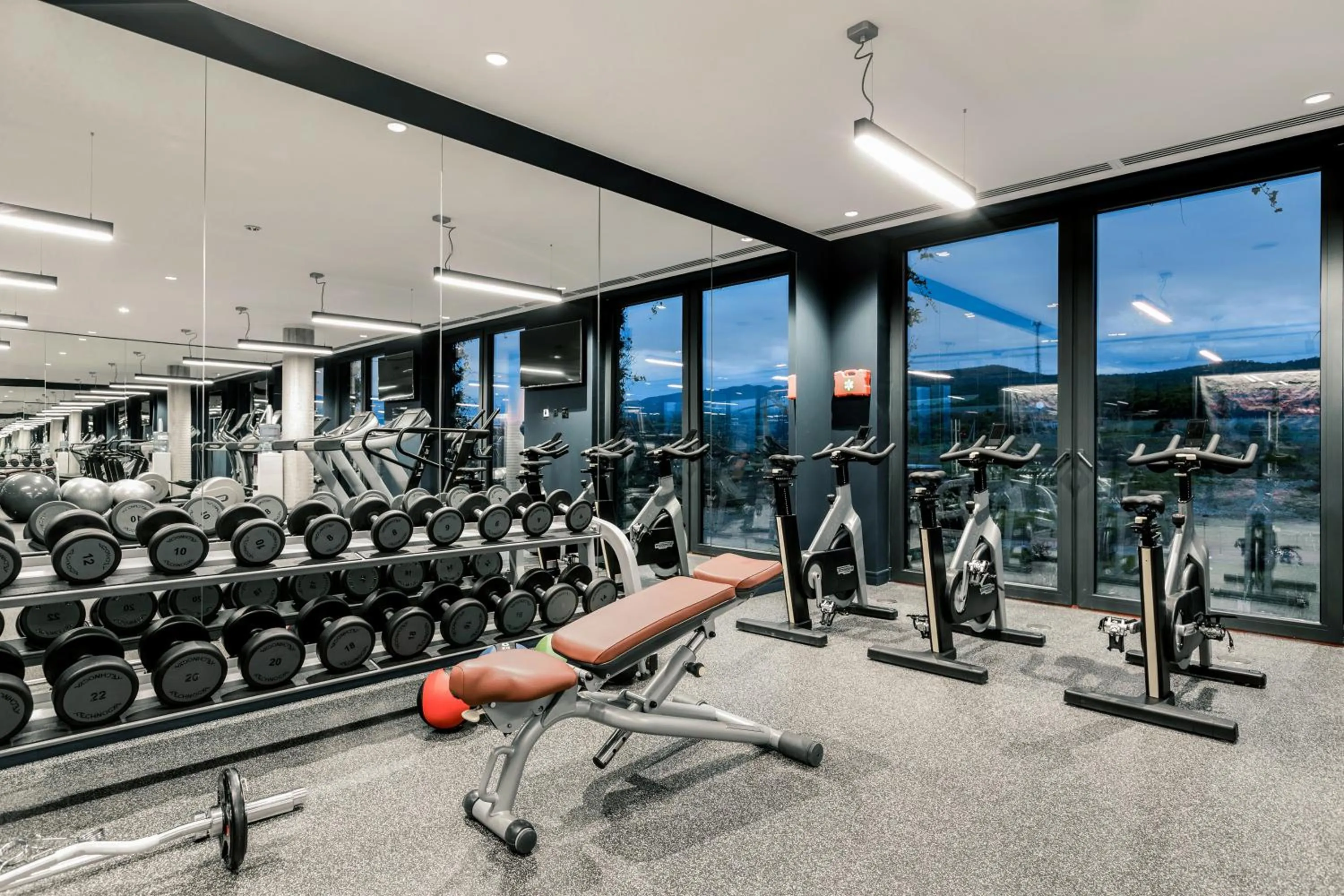 Fitness centre/facilities in Tsinandali Estate, A Radisson Collection Hotel