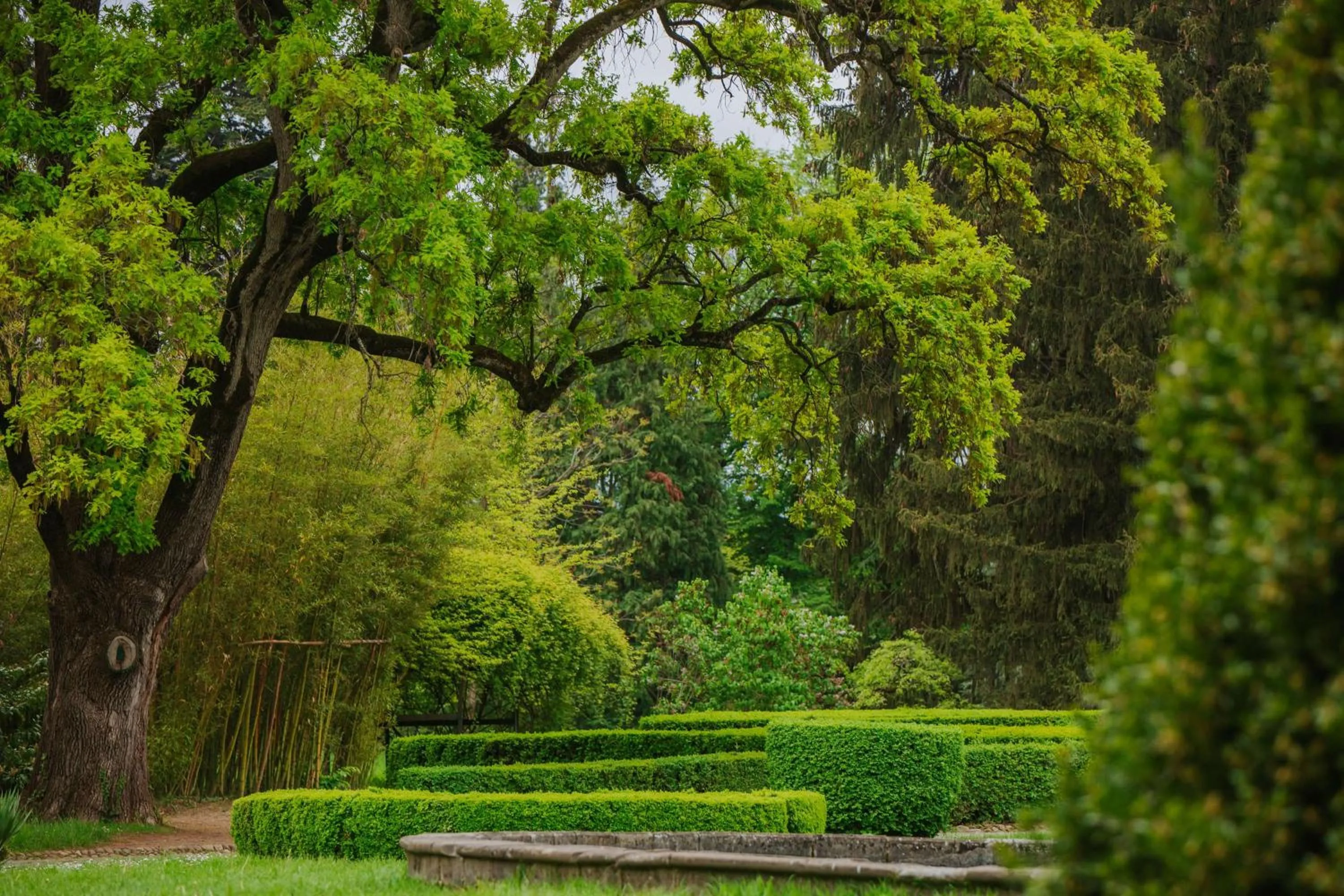 Property building in Tsinandali Estate, A Radisson Collection Hotel