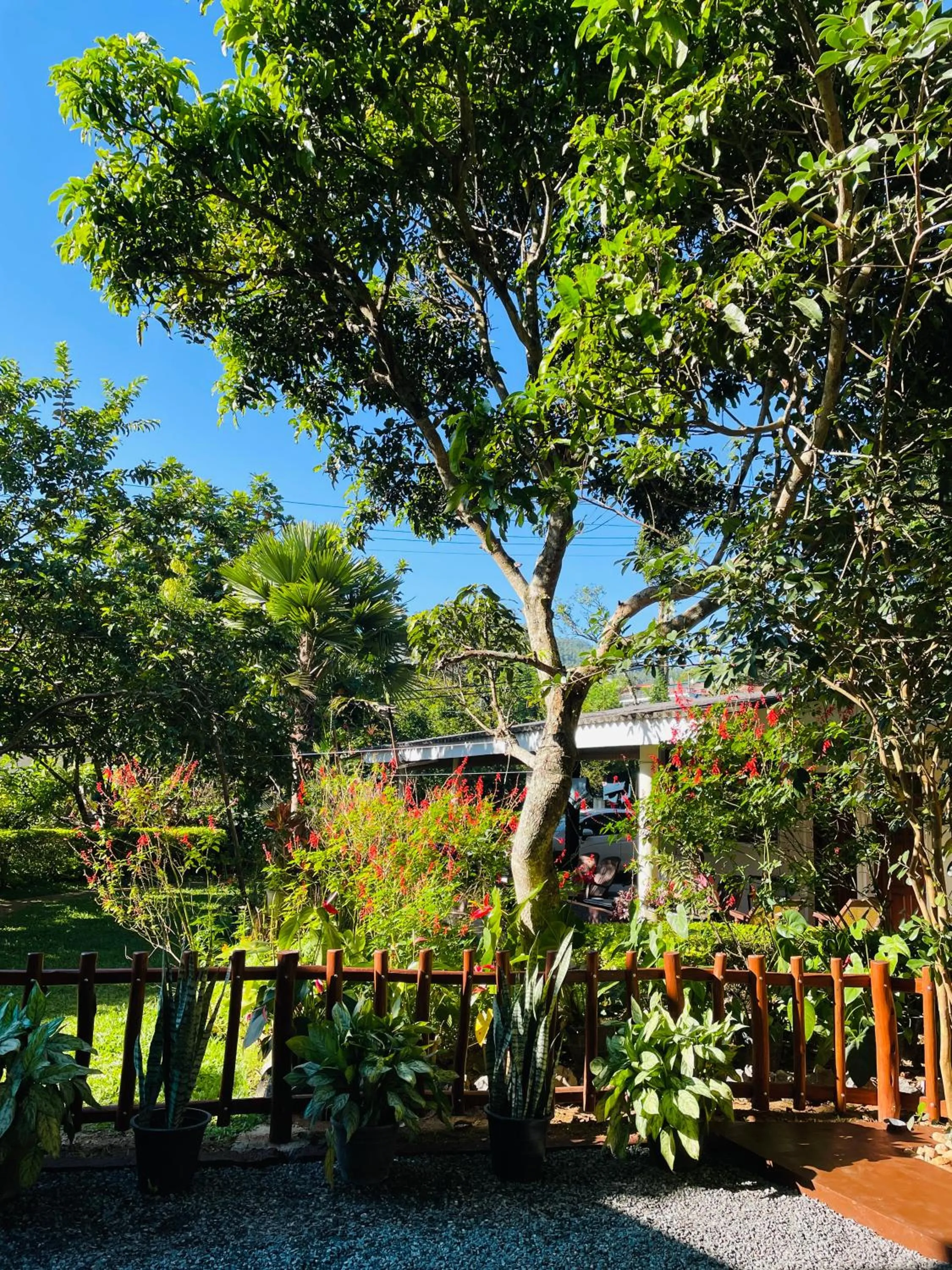 Garden view in Poomaz Peace Palace