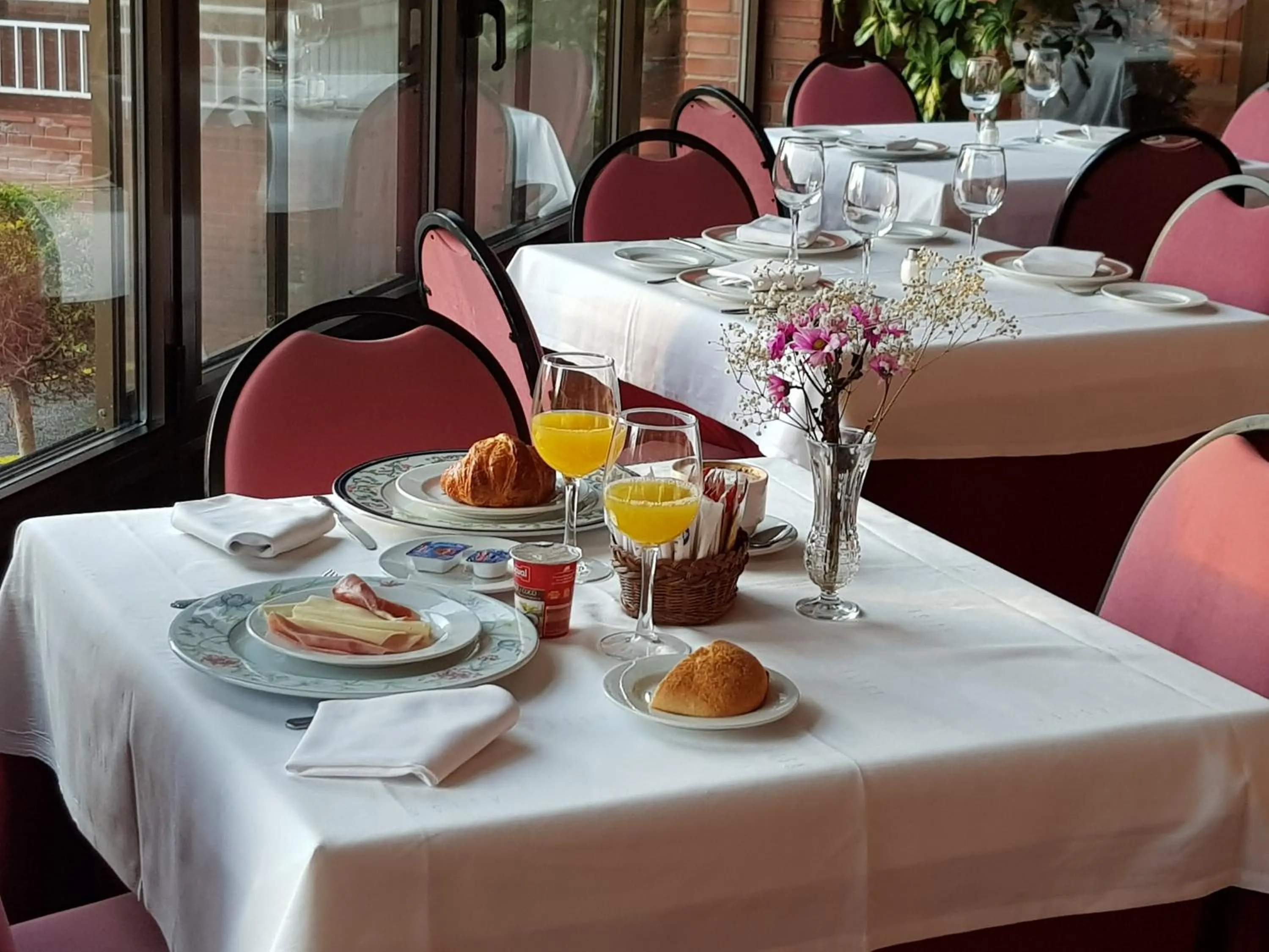 Food and drinks in Hotel Alisa