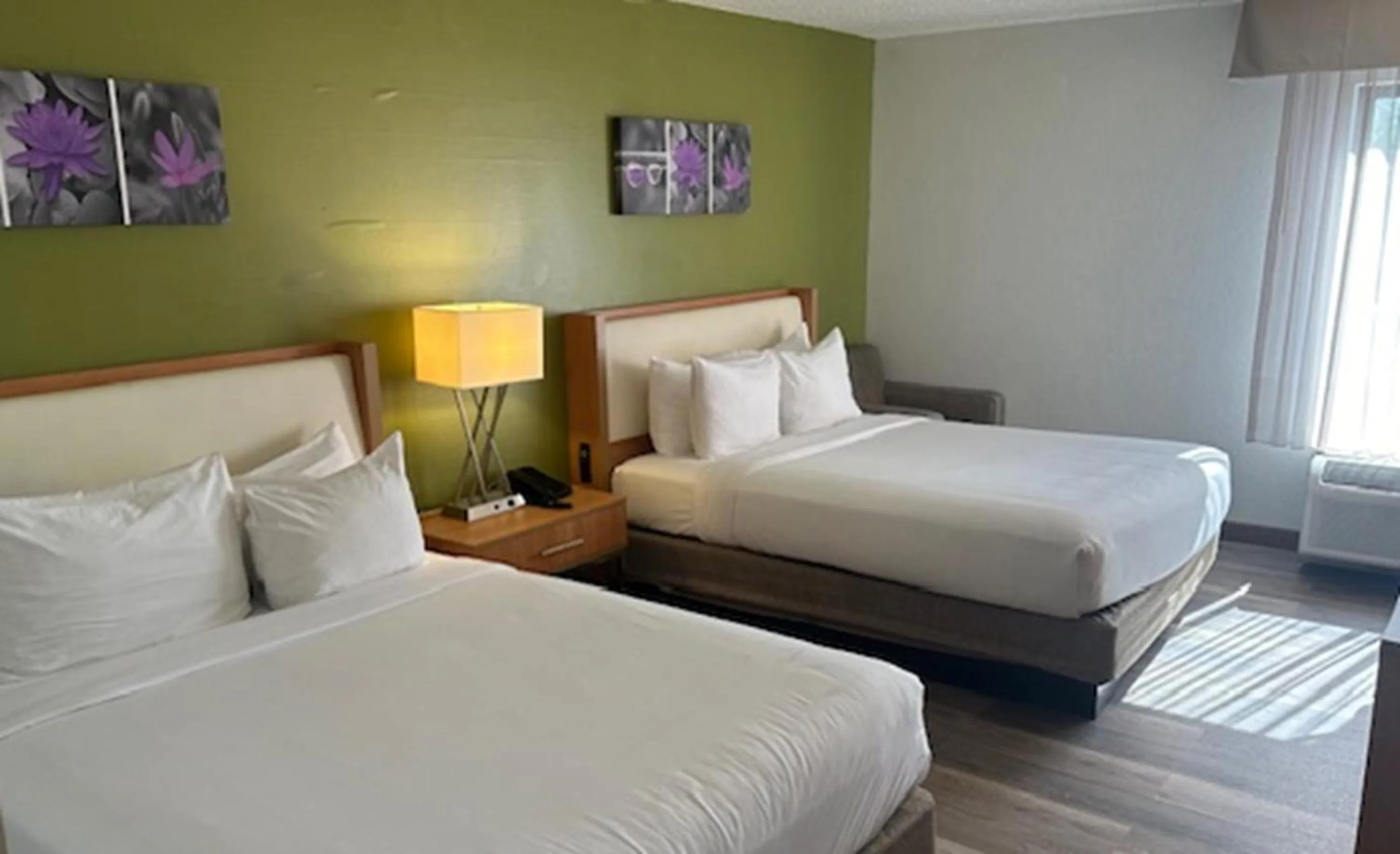 Bed in Sleep Inn & Suites Memphis Southeast