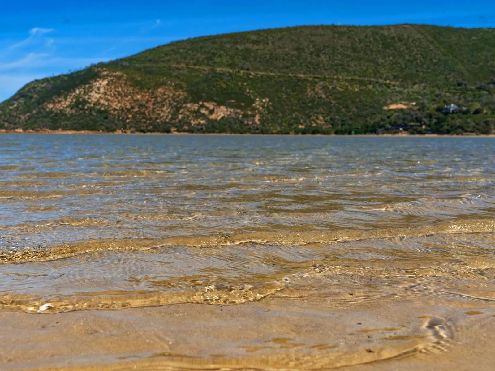 Neighbourhood in Glenview Heads Apartments