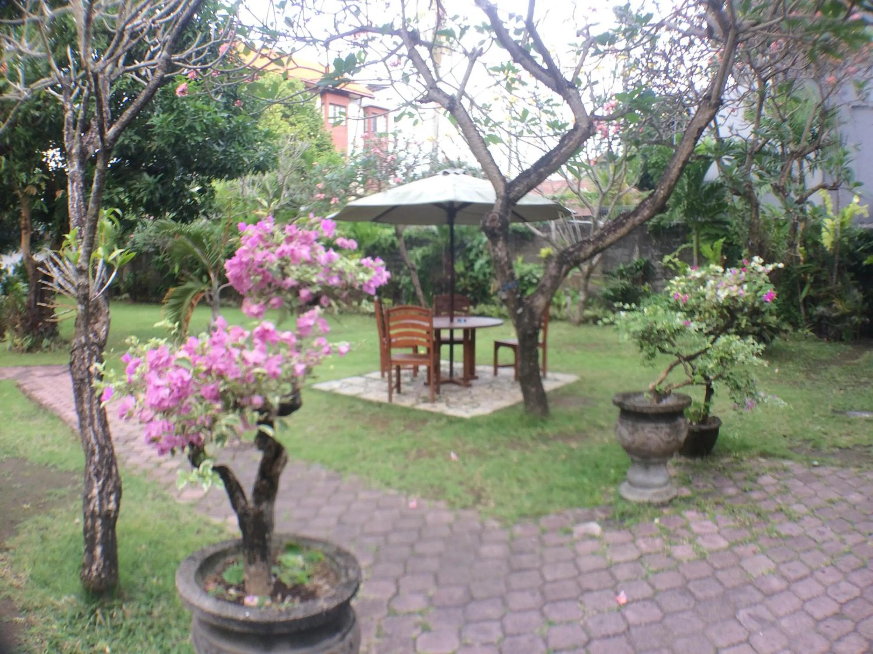 Garden in Mangga Bali Inn
