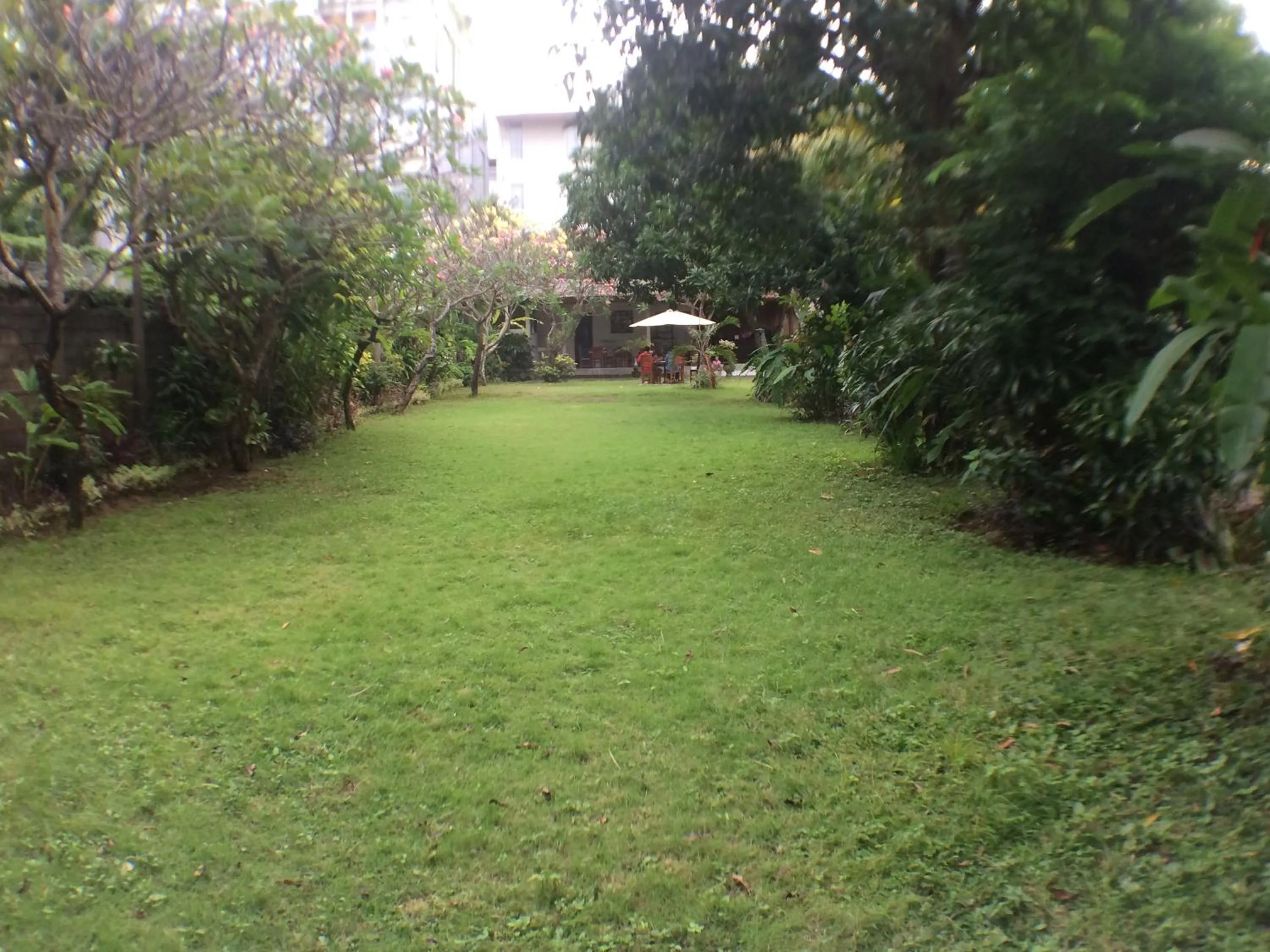 Garden in Mangga Bali Inn