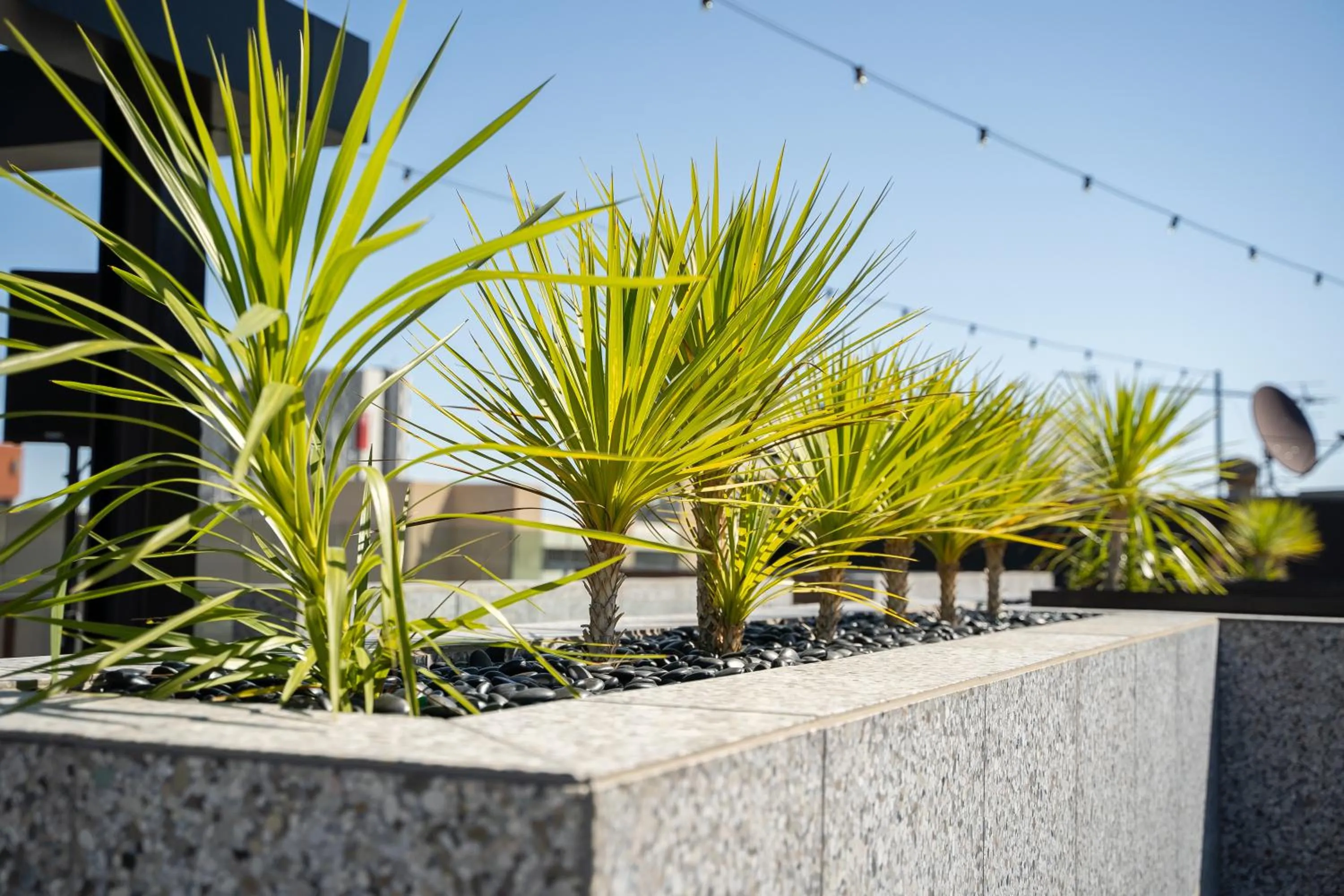 Swimming pool in Adelaide Rockford