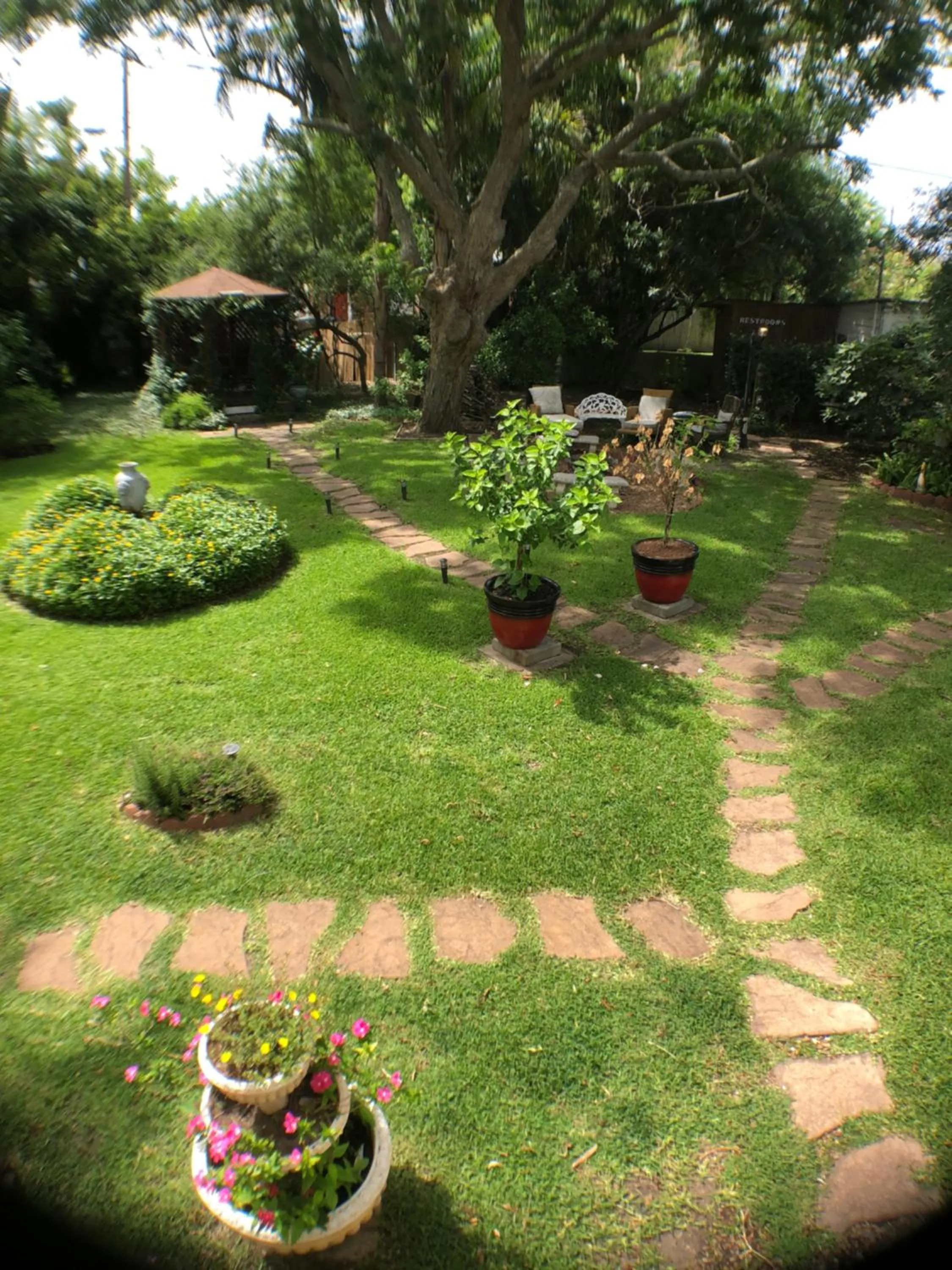 View (from property/room) in Avenue O Bed and Breakfast