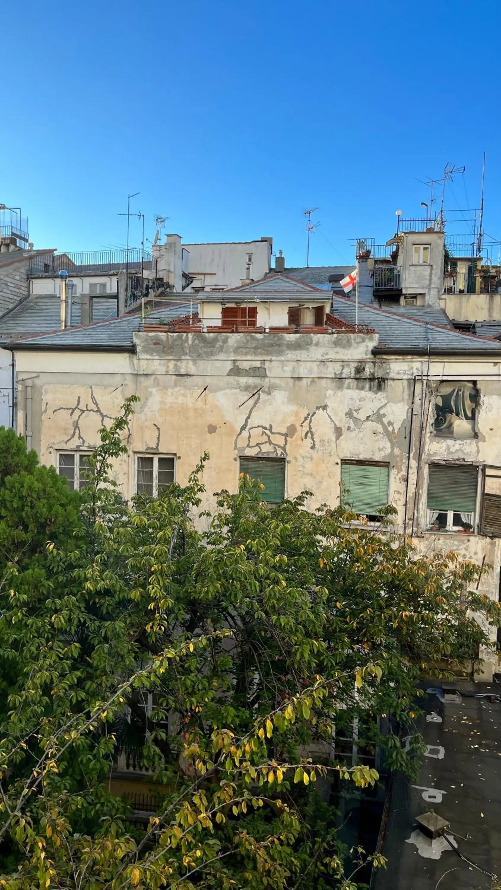 View (from property/room) in B&B Ligustico