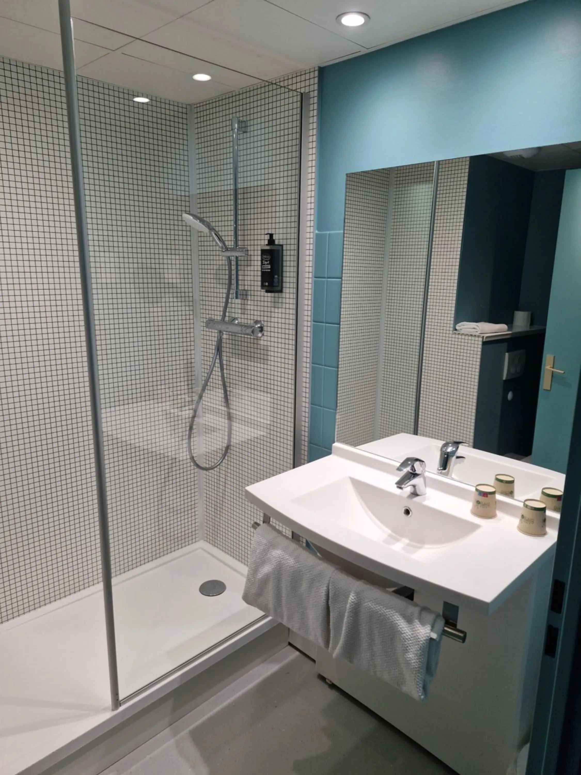 Shower in ibis budget Saint Dié des Vosges