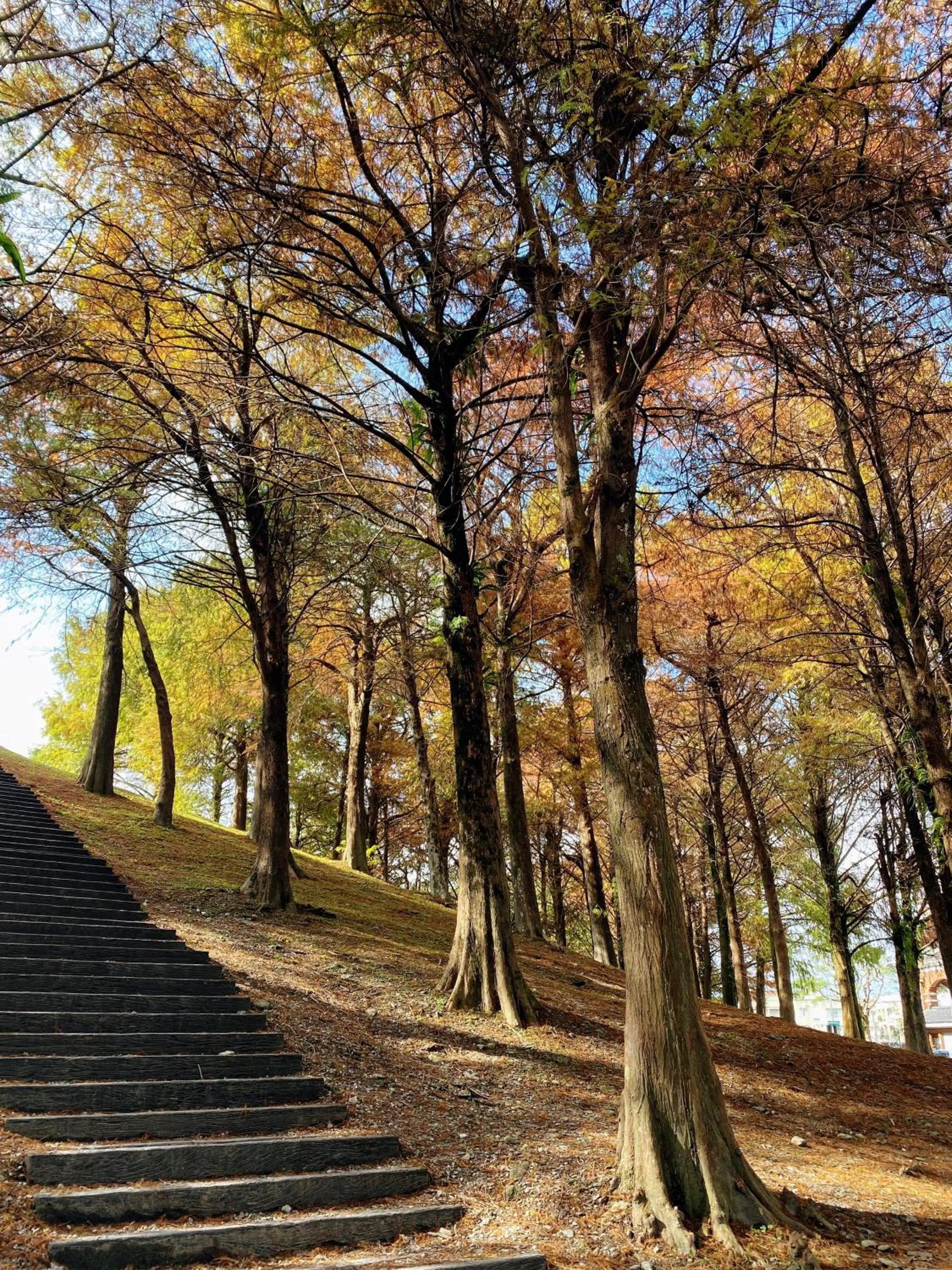 Natural landscape in Shire Homestay