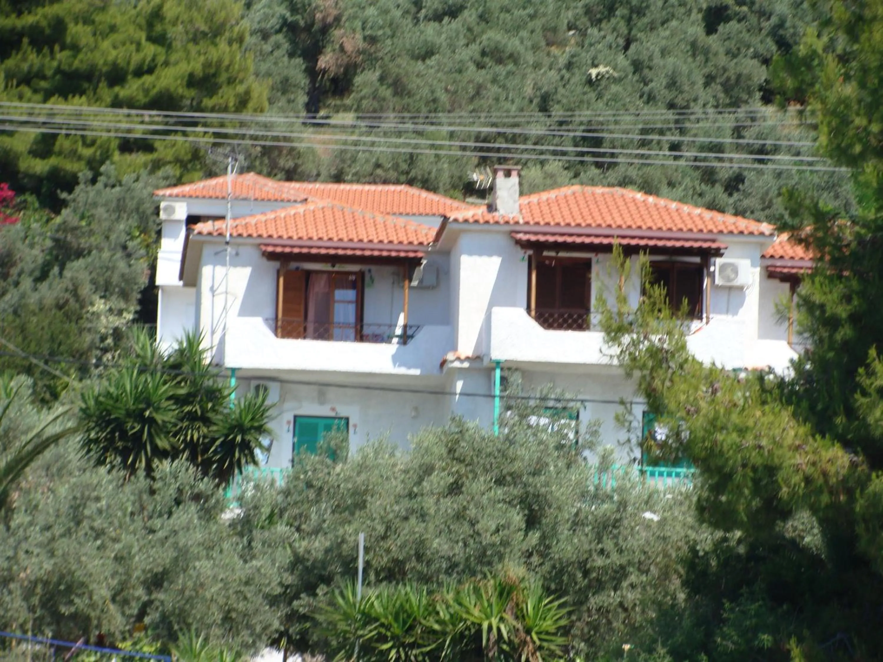 Property building in Azalea