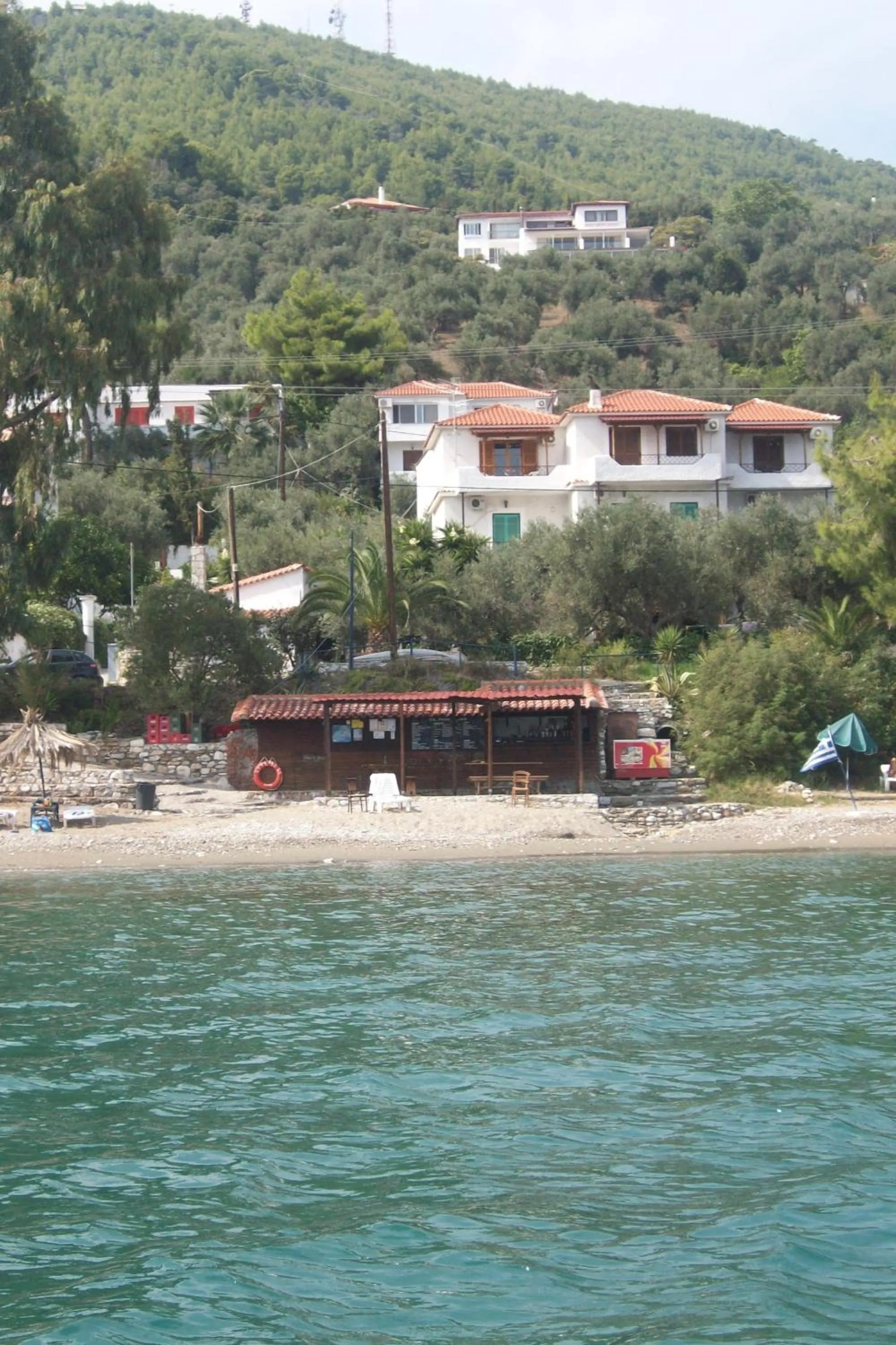 Bird's eye view in Azalea