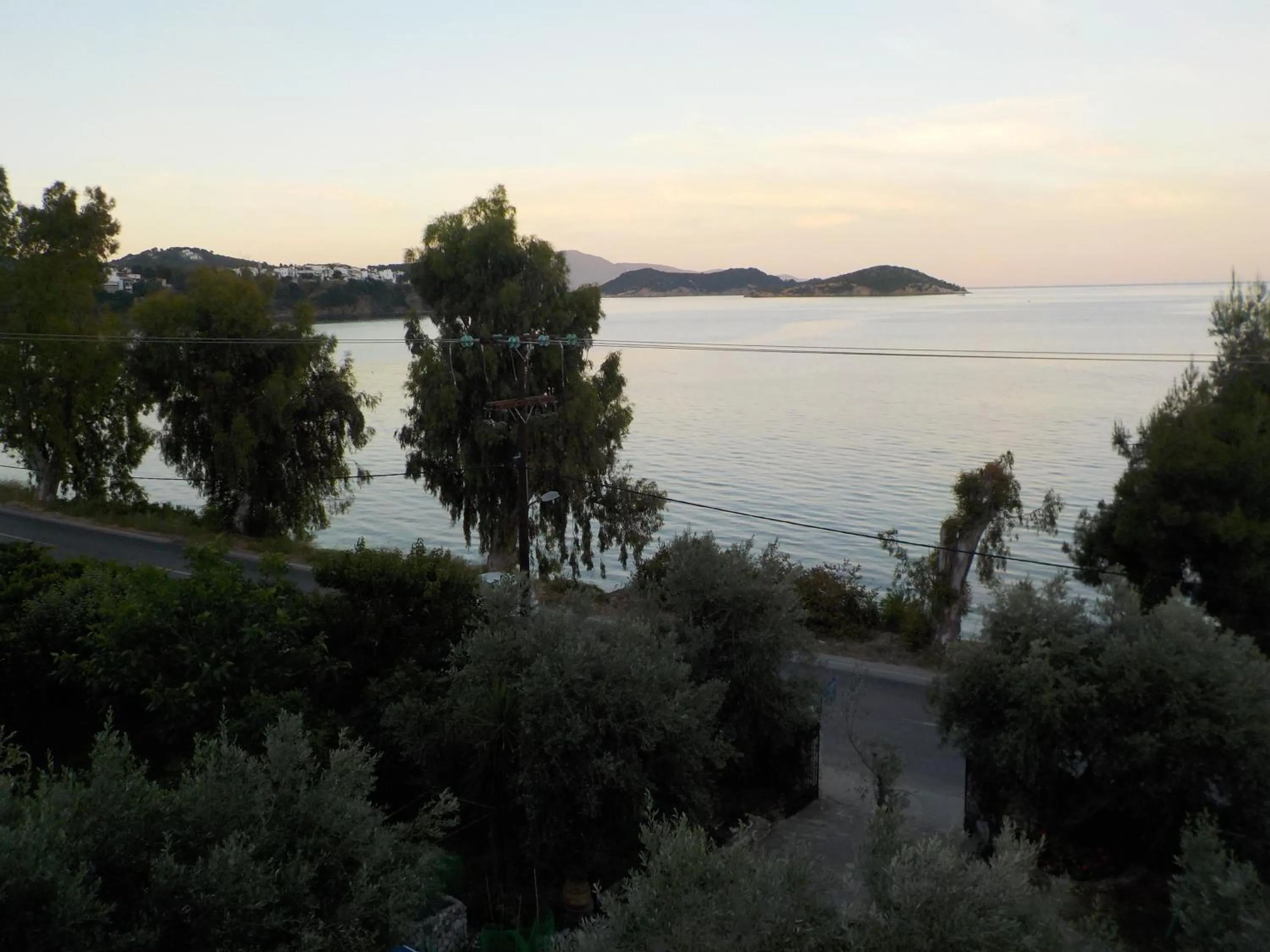 Street view in Azalea