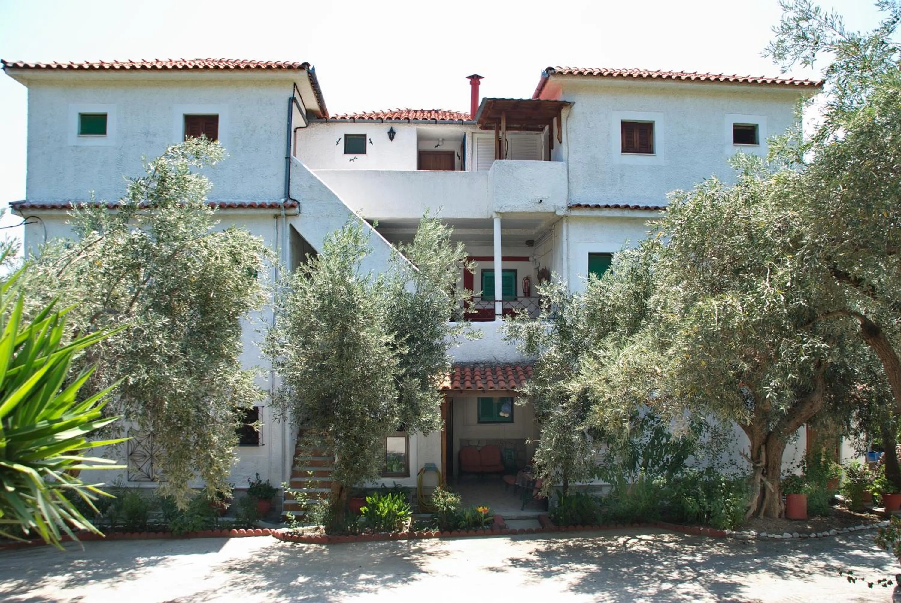 Bird's eye view in Azalea