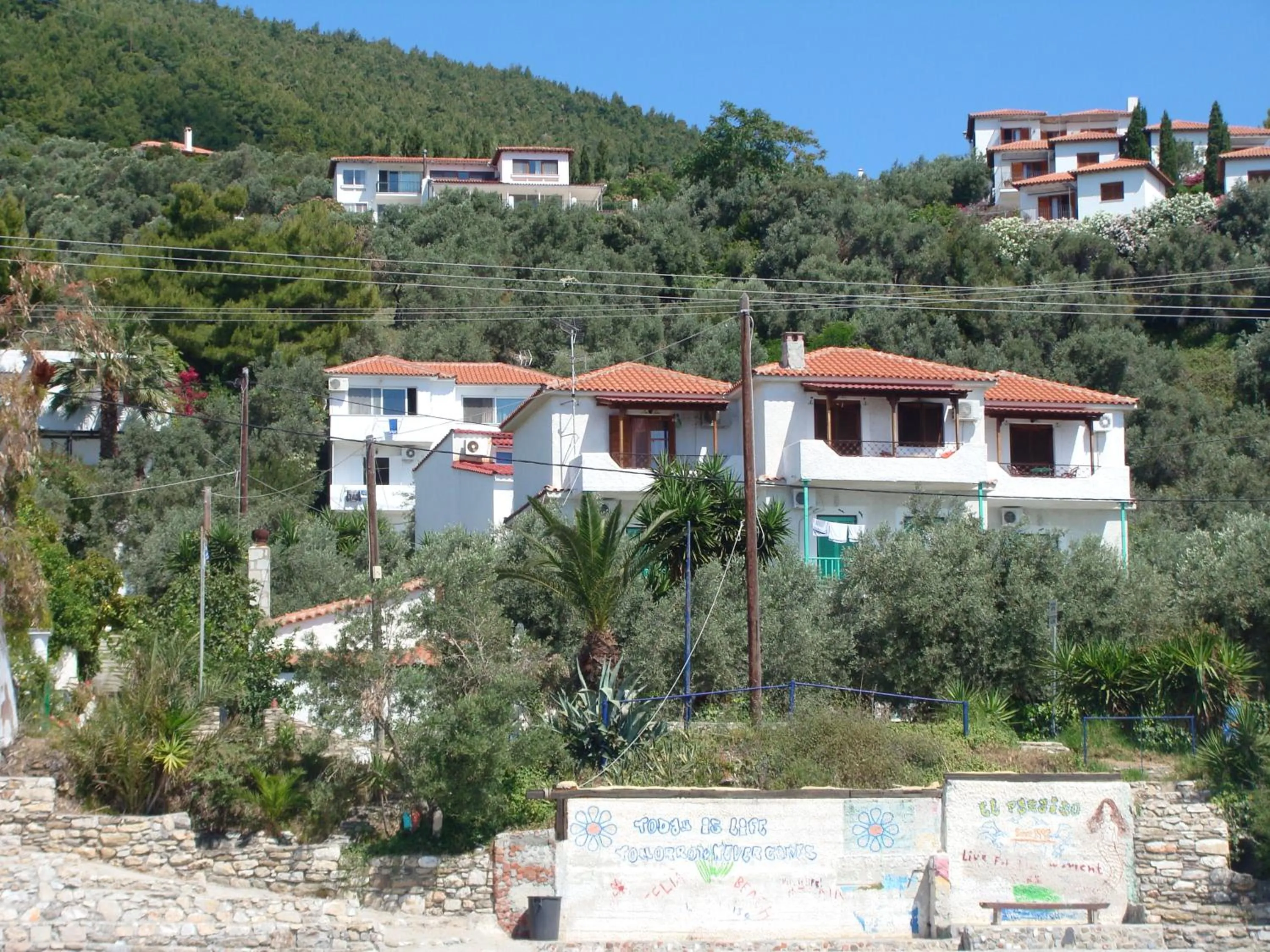 Property building in Azalea