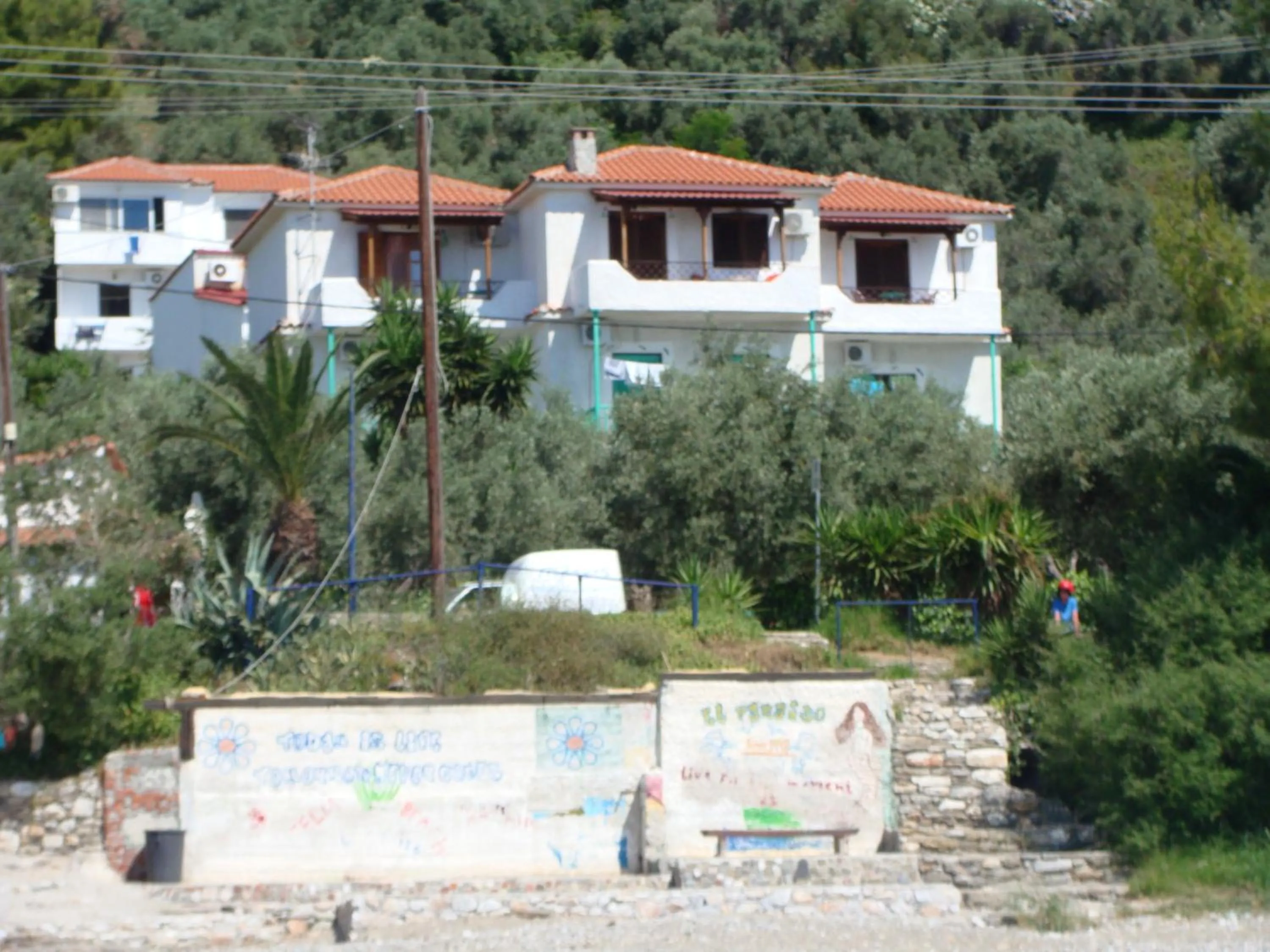 Property building in Azalea