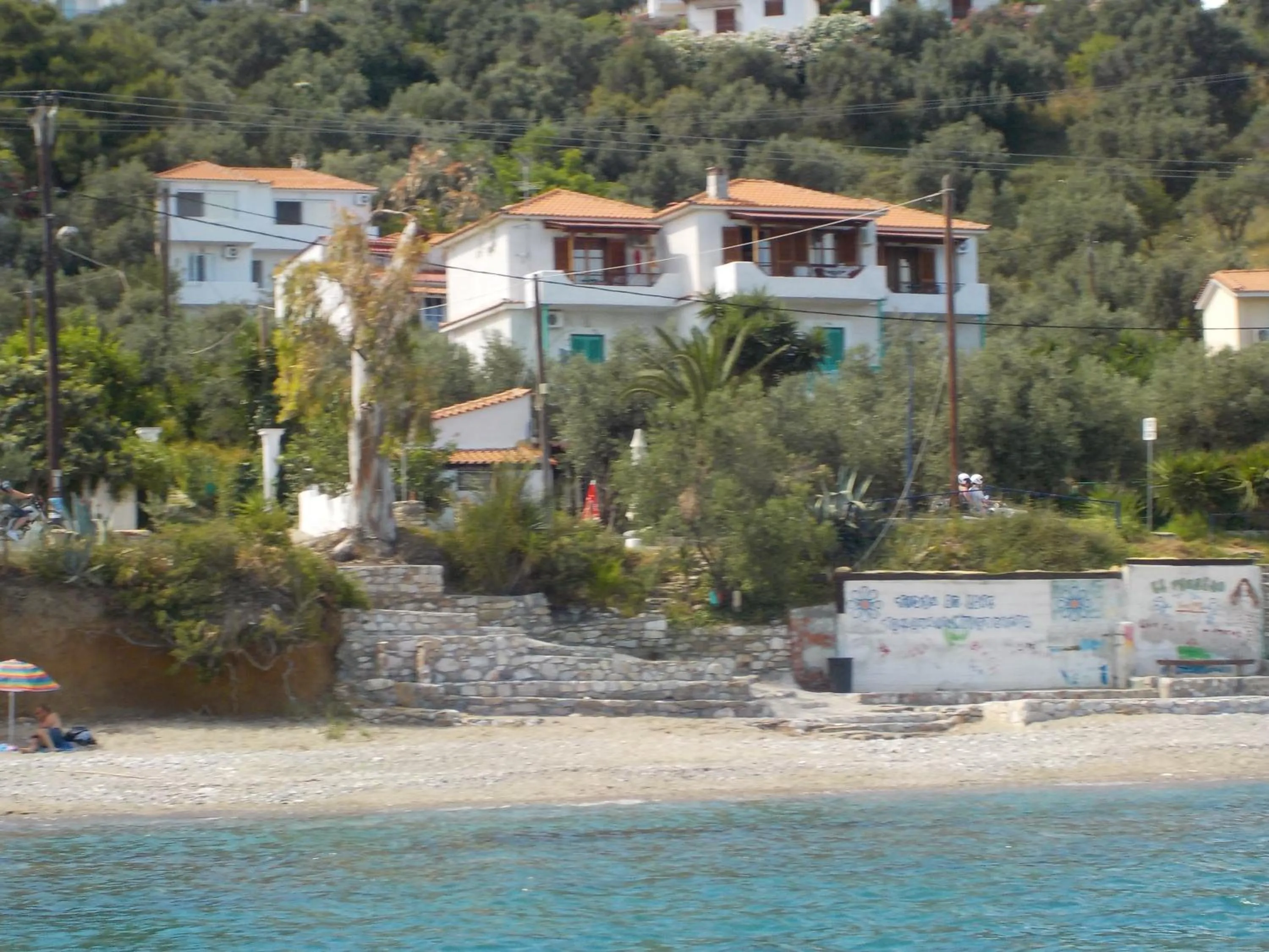 Bird's eye view in Azalea