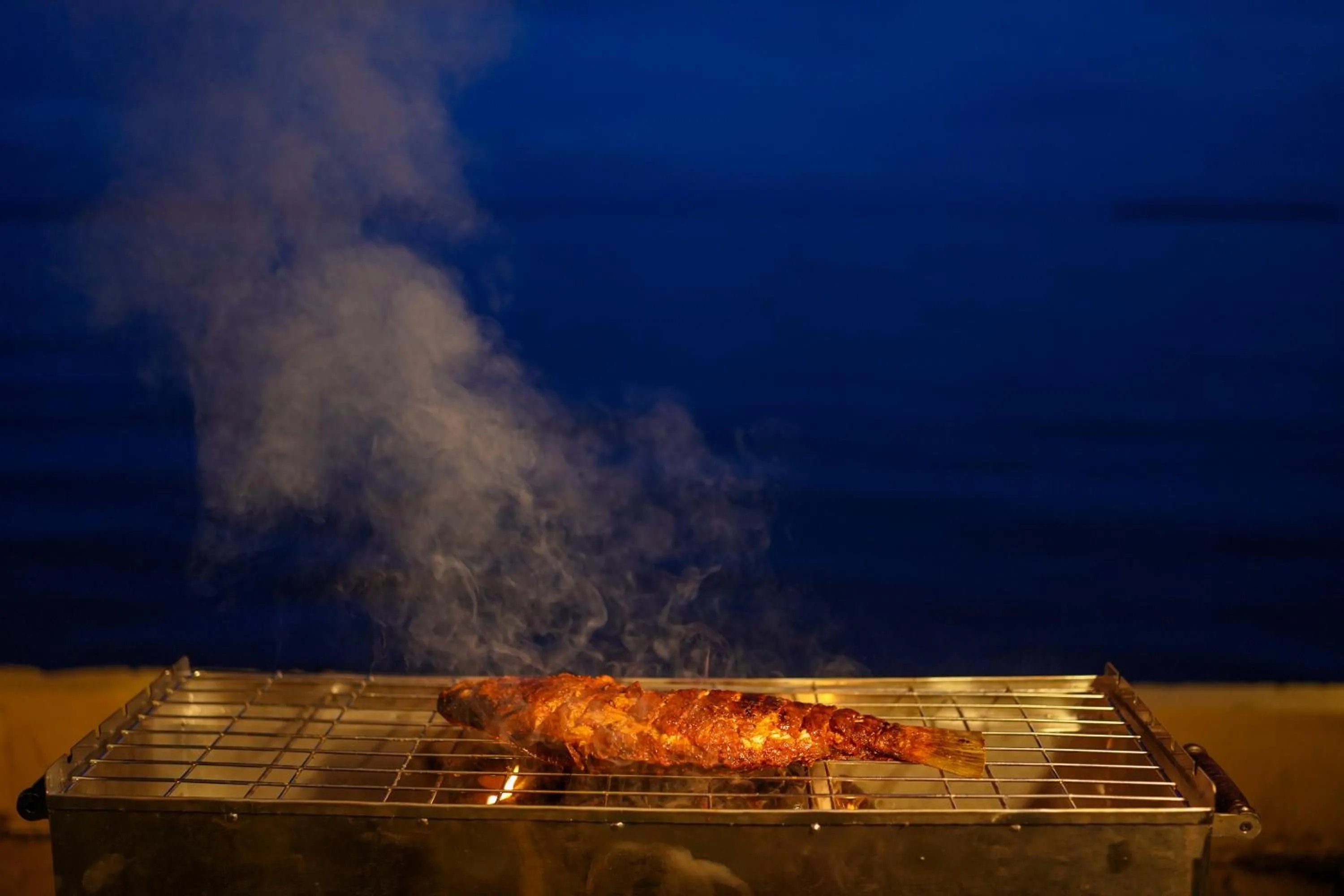 The World Backwaters, Alleppey