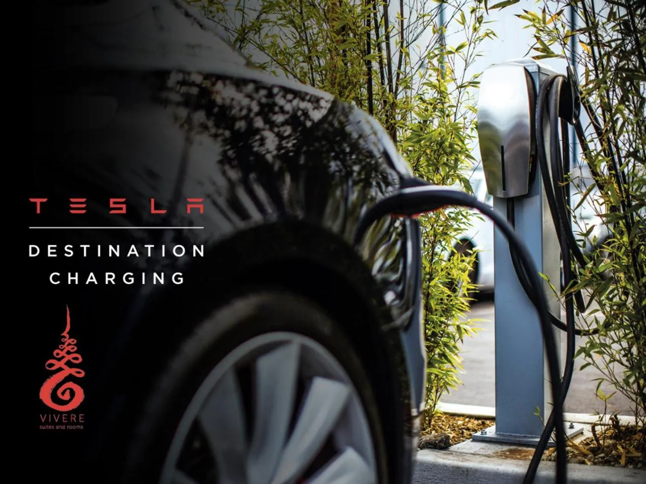 Other in Vivere Suites & Rooms