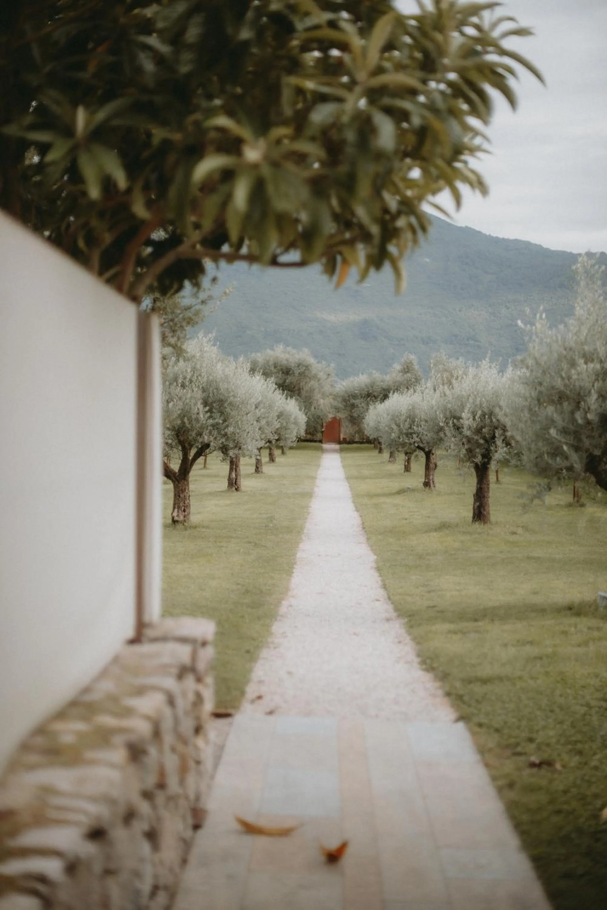 Garden in Vivere Suites & Rooms