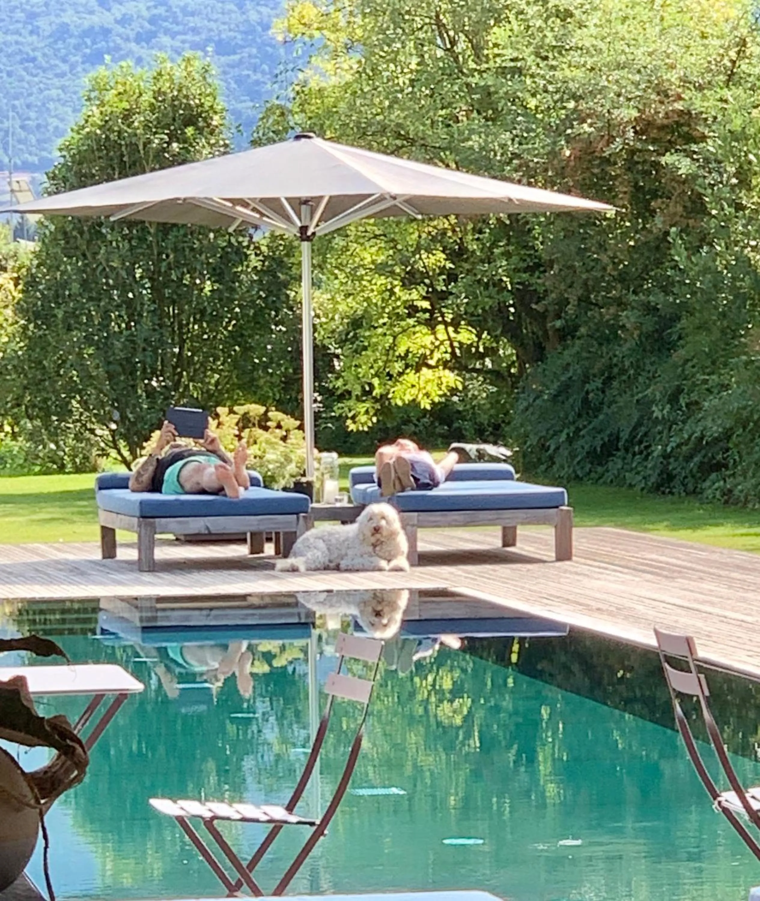 Swimming pool in Vivere Suites & Rooms