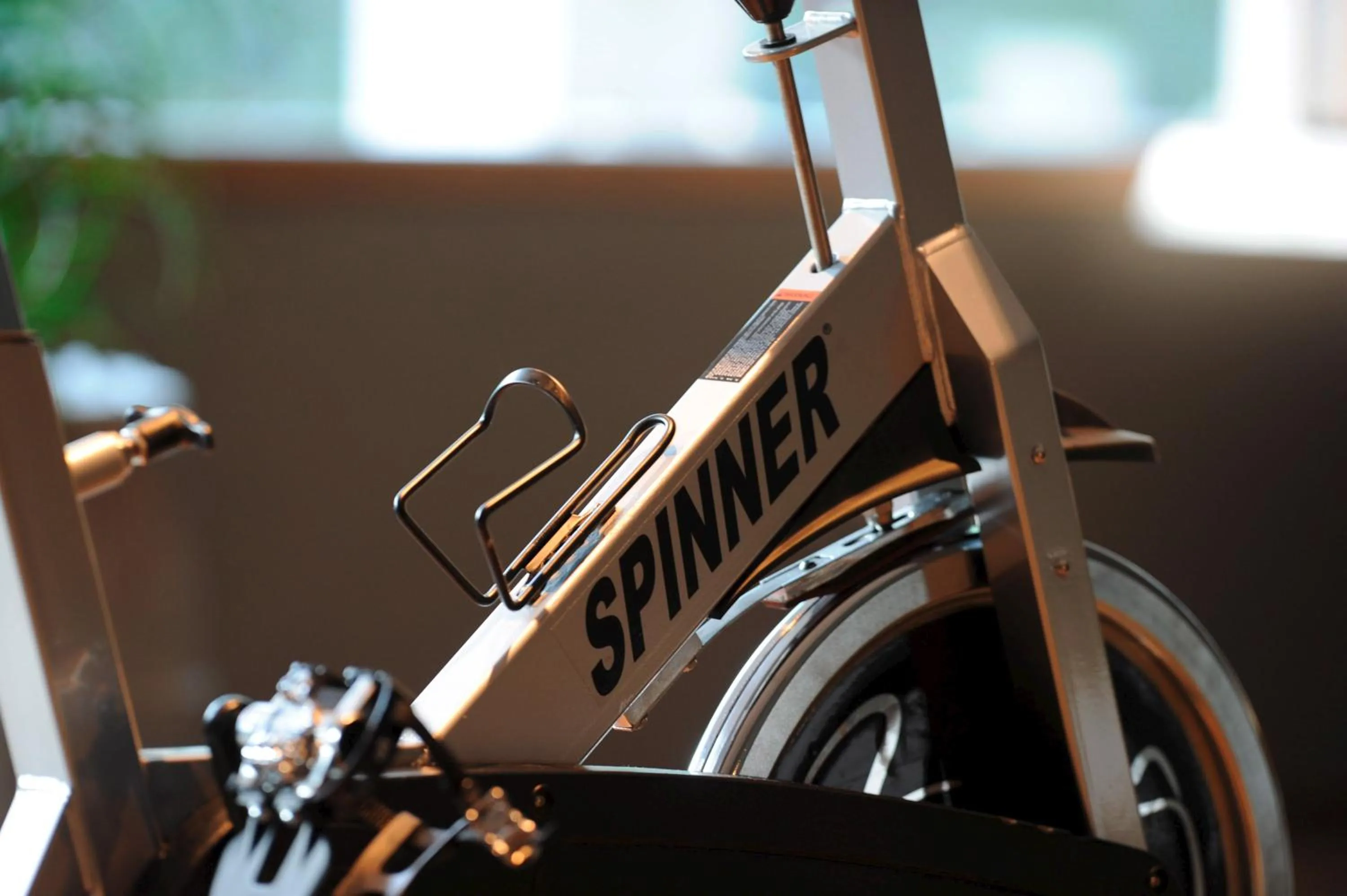 Sports in Vivere Suites & Rooms