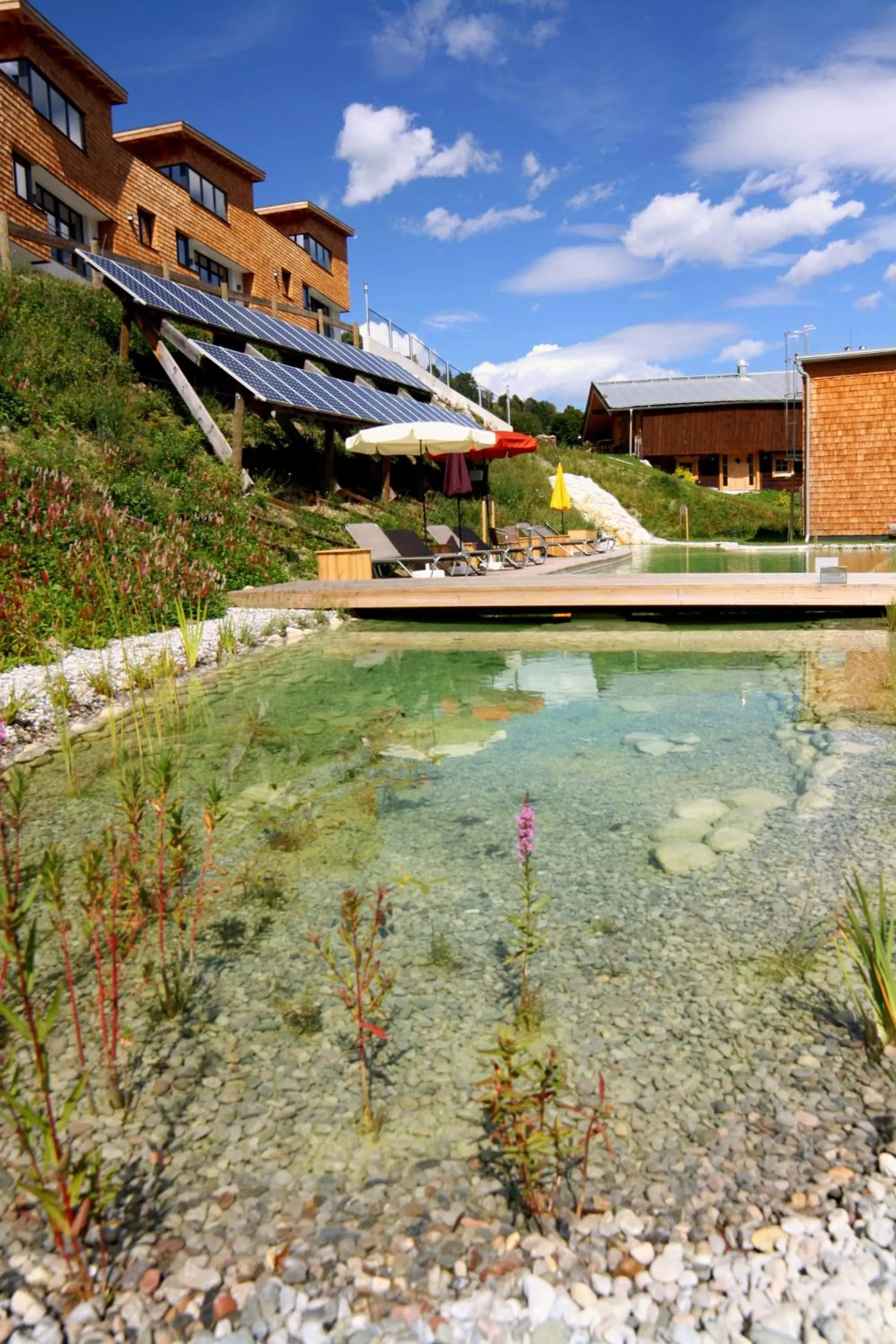 Garden in Bachgut - Das Resort am Berg