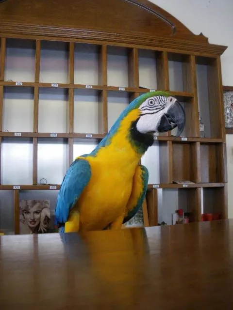 Area and facilities in Hotel Europe Inn