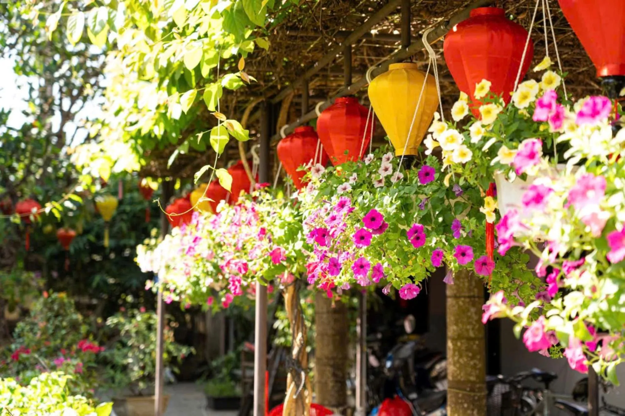 Garden view in Chi Thanh Villa